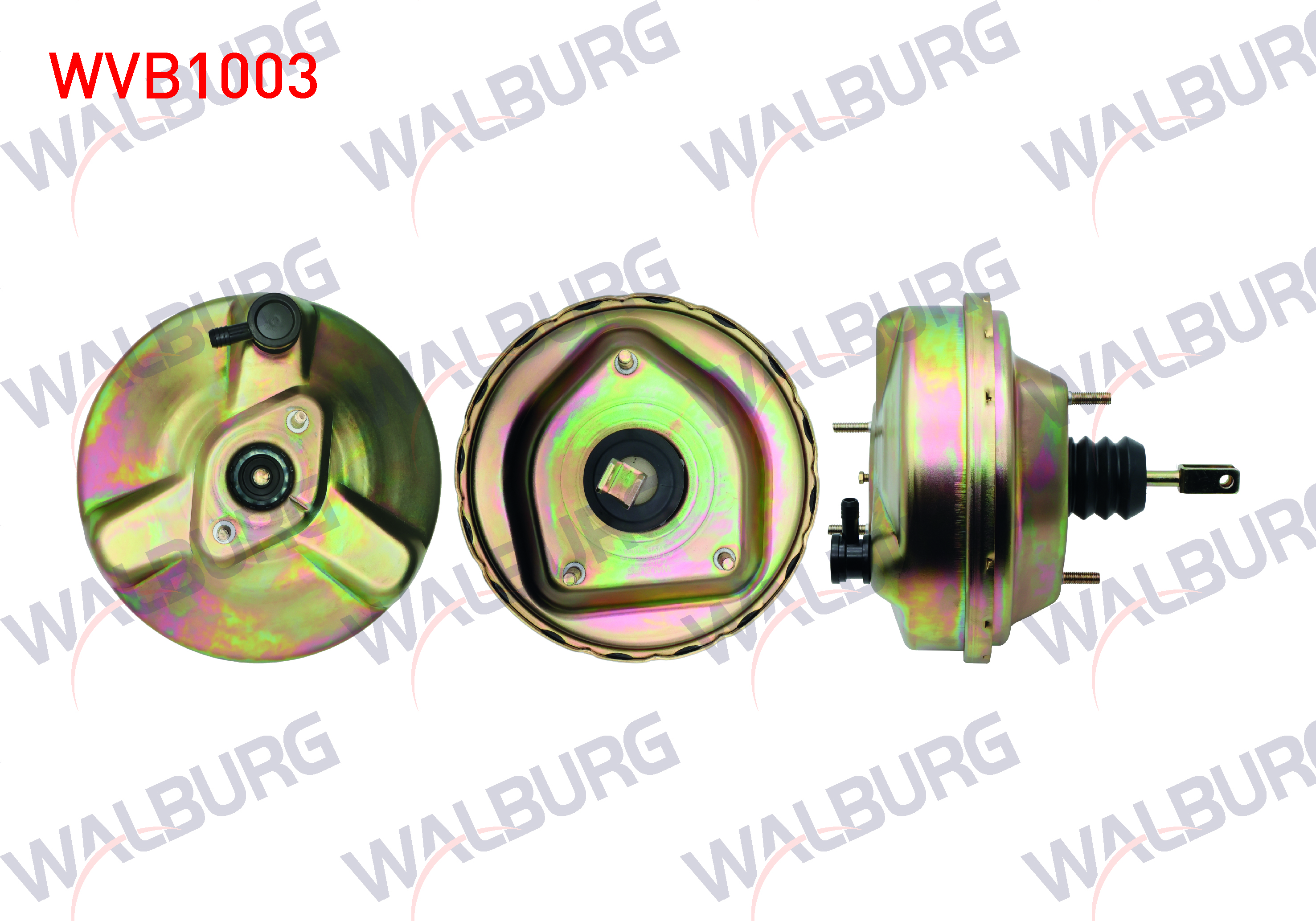 WALBURG 