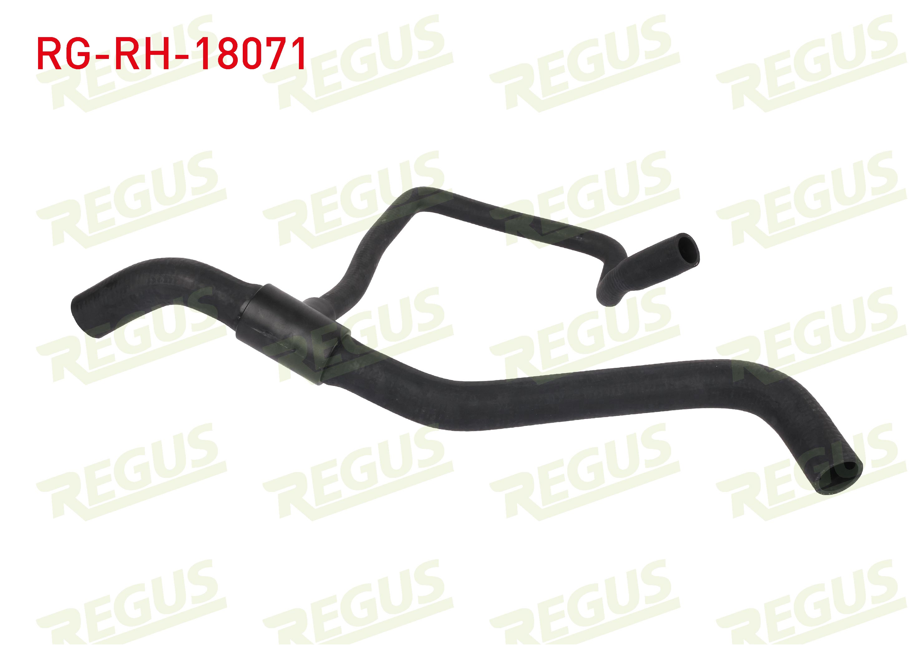 REGUS 14208