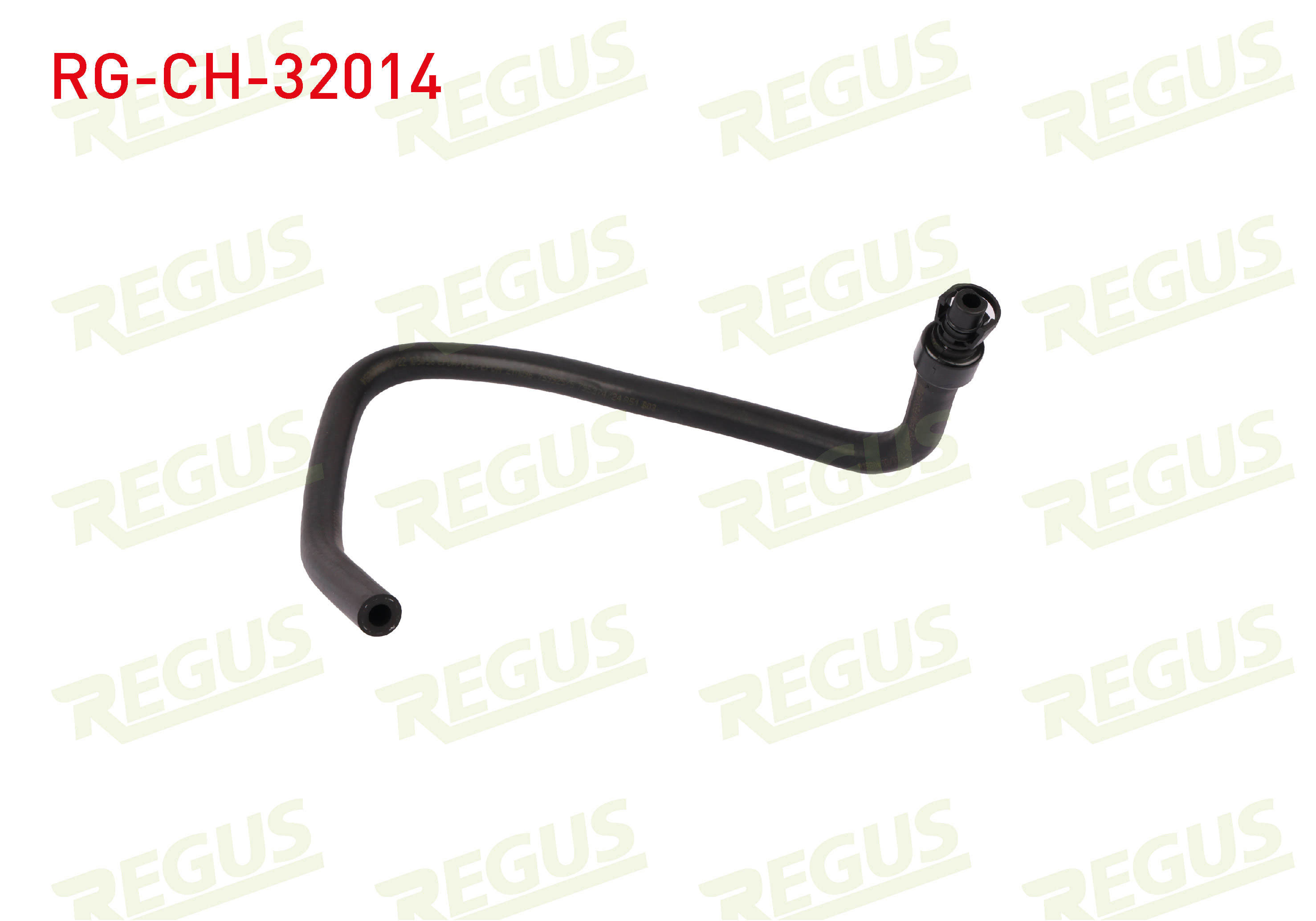 REGUS 21268