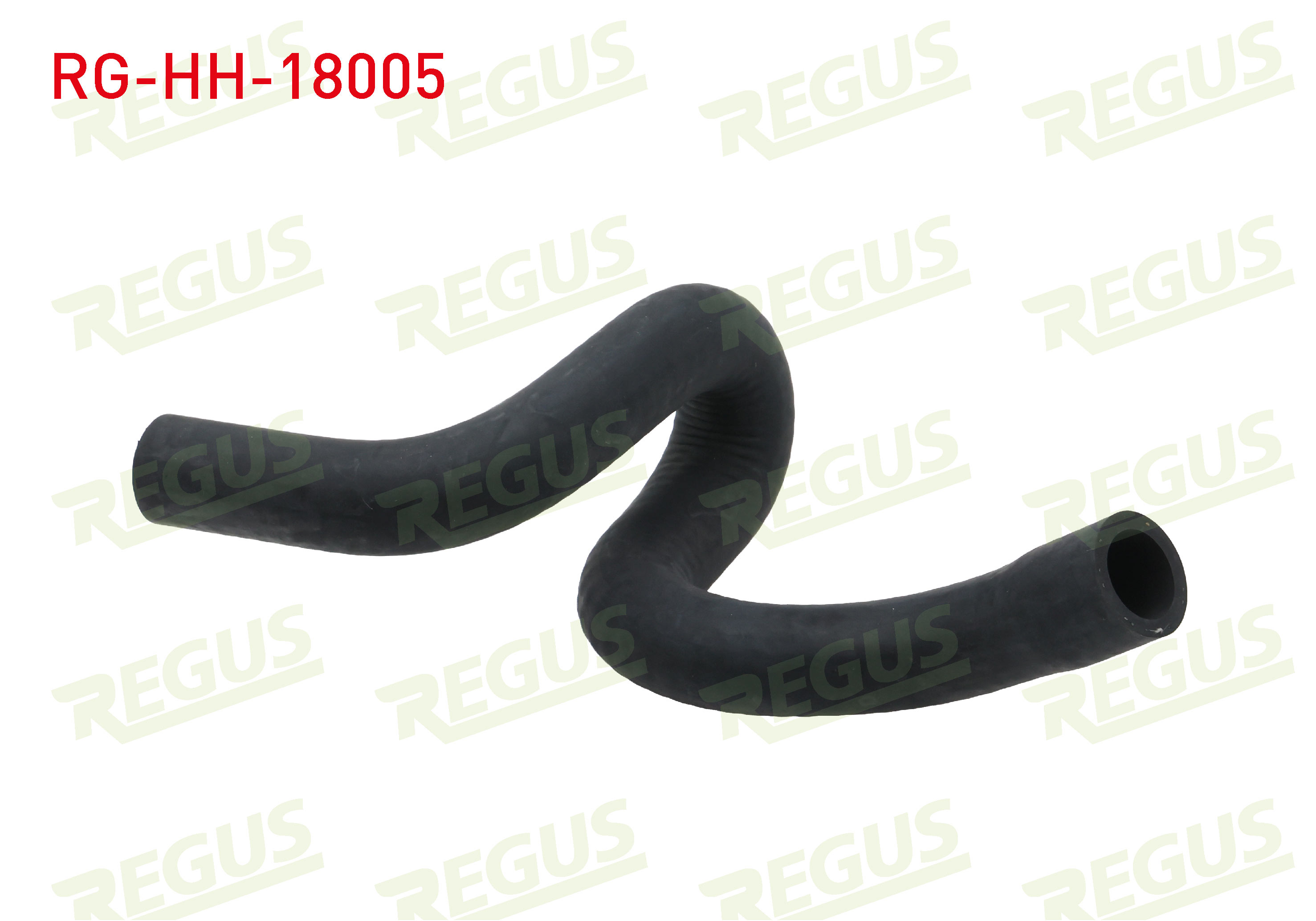 REGUS 15056