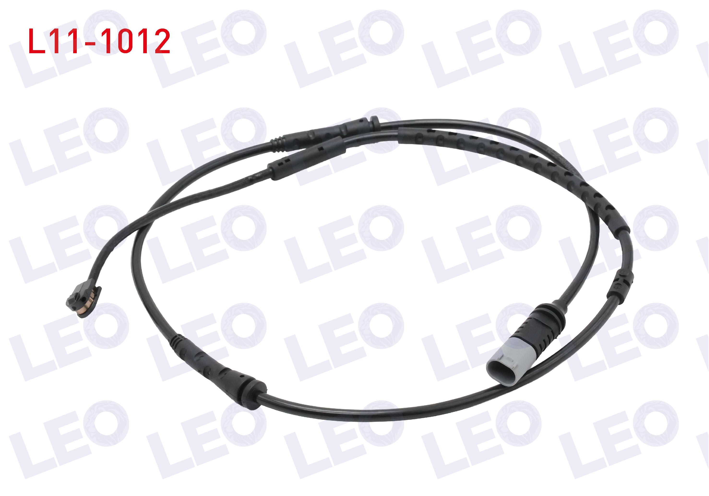 LEO 