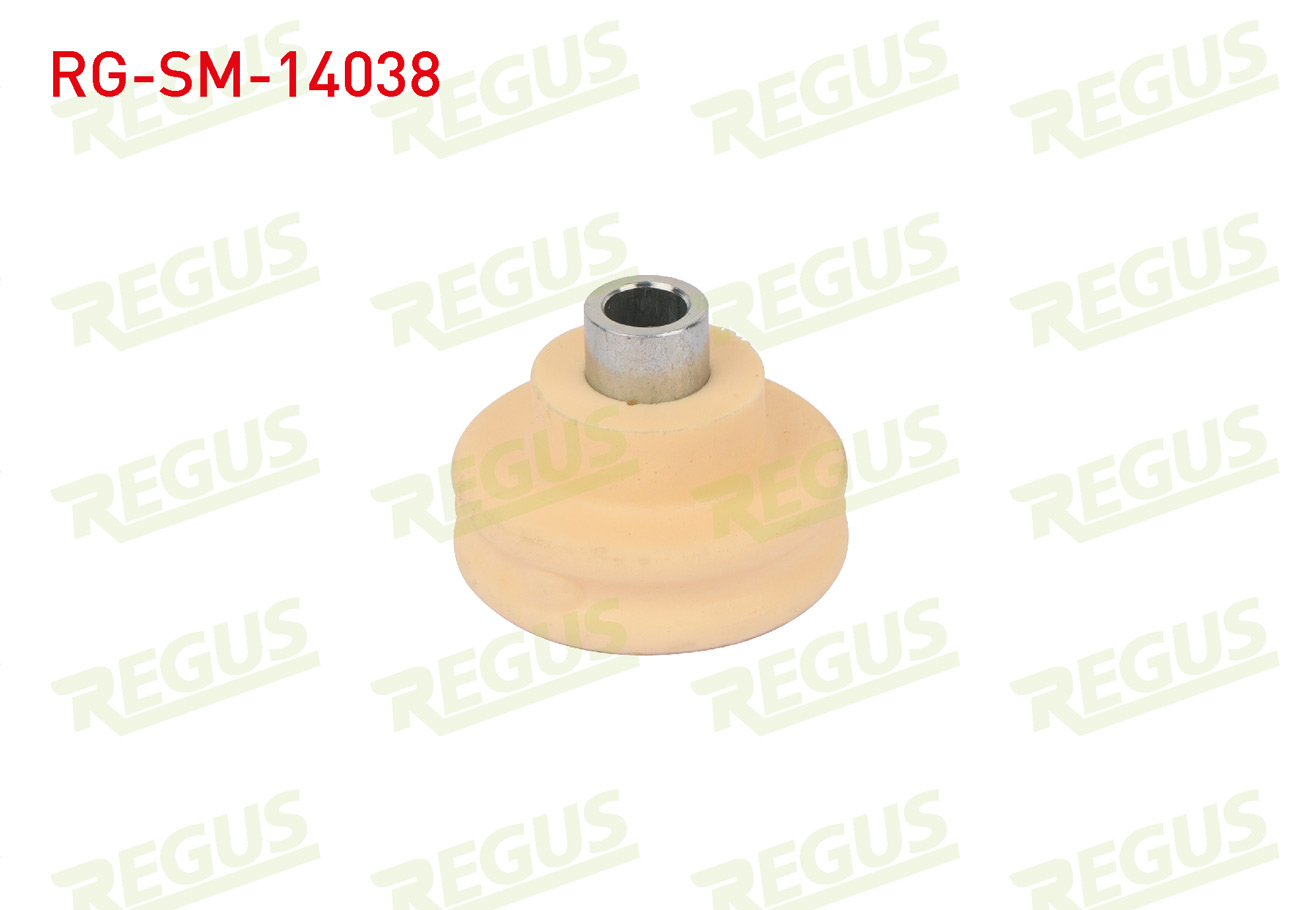 REGUS 