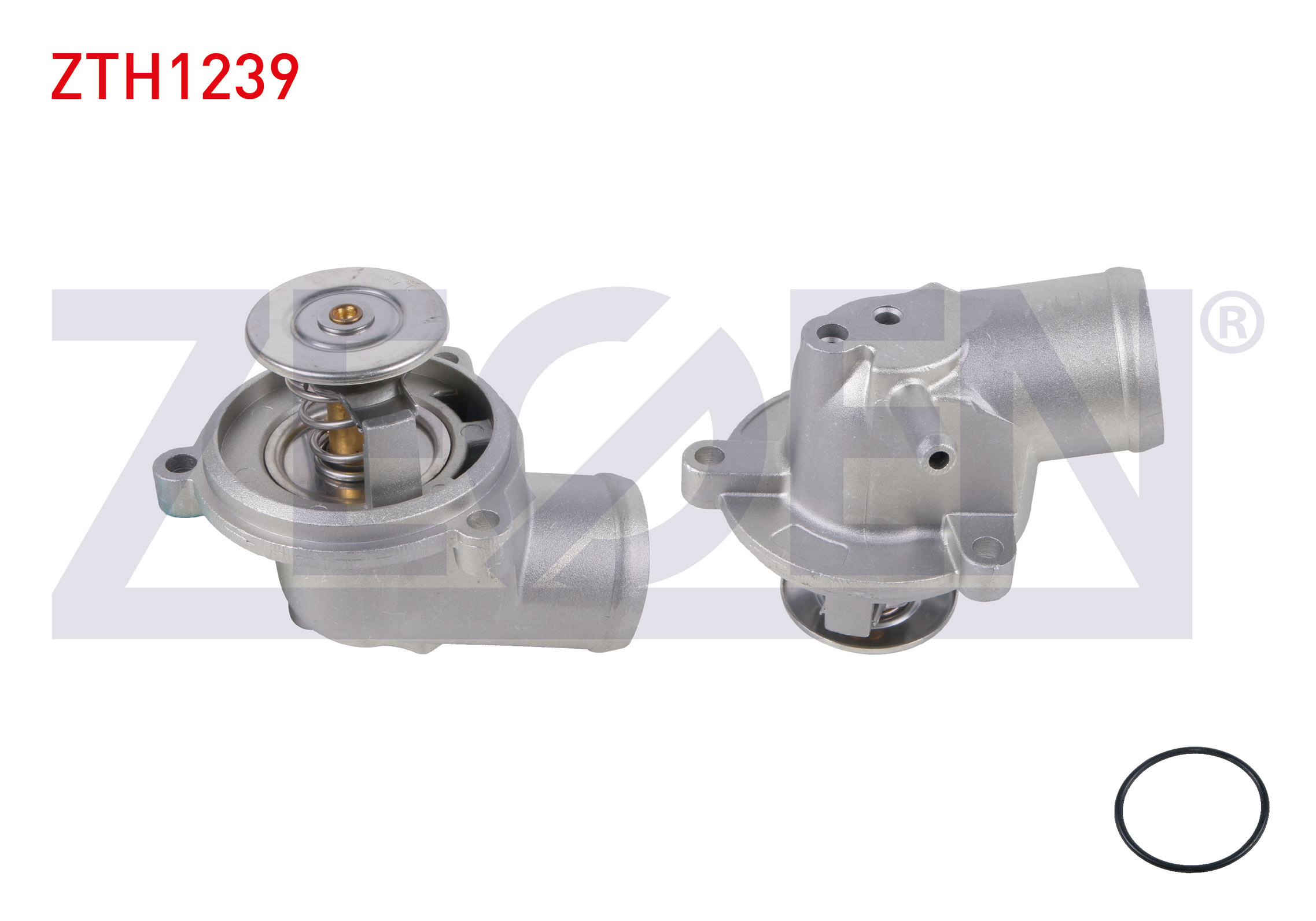 ZEGEN TI 21 87