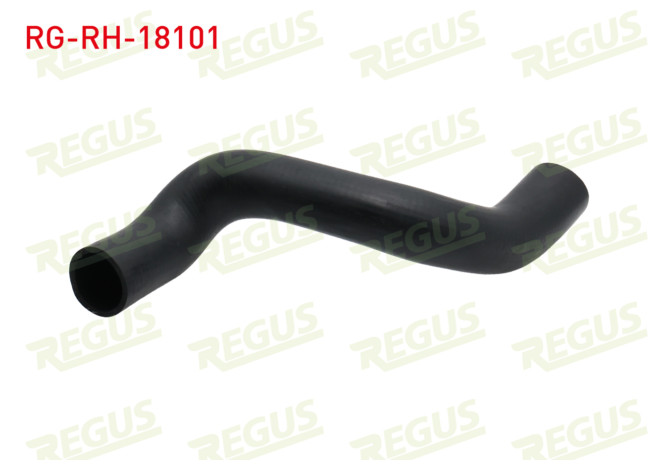 REGUS 15019