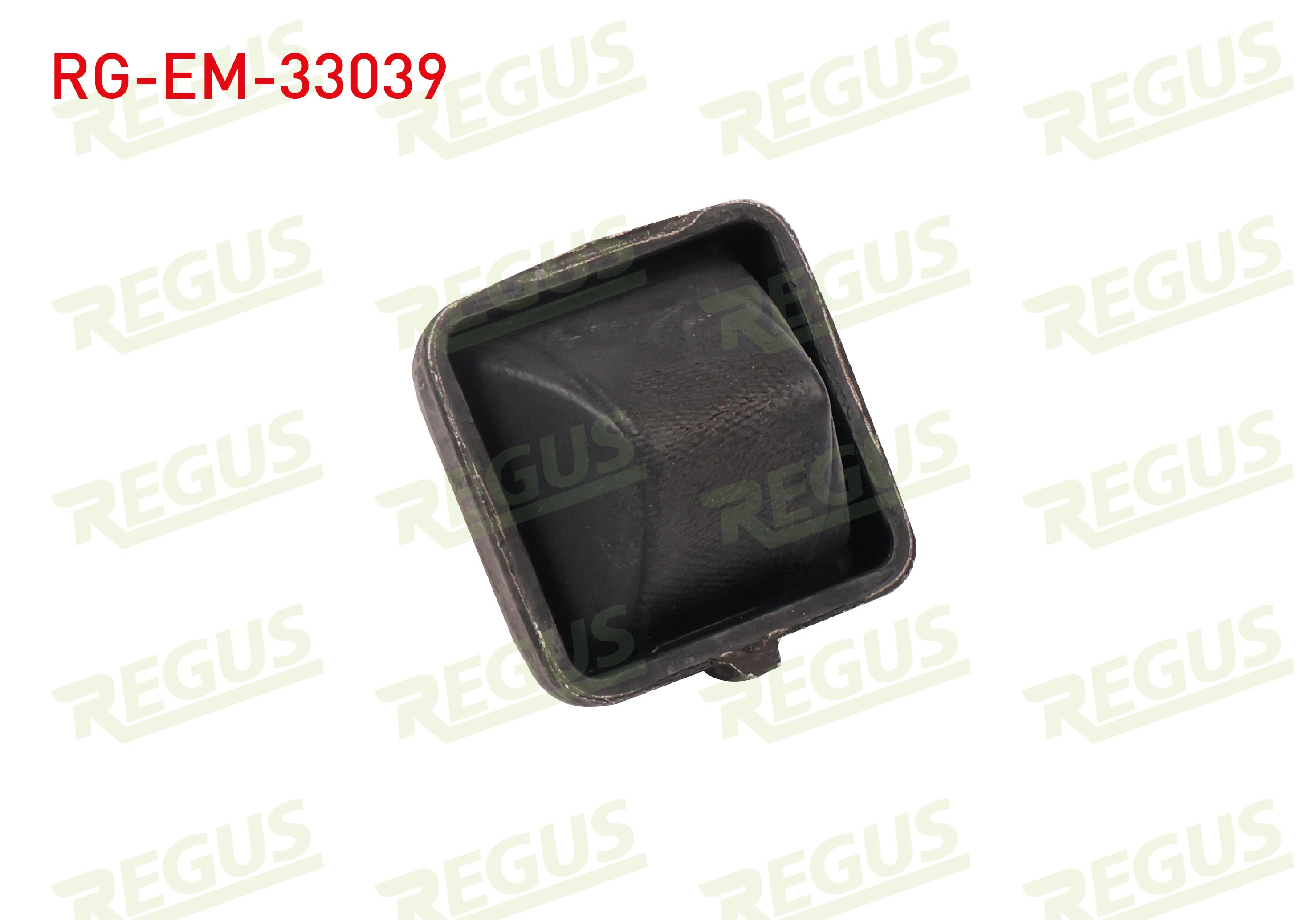 REGUS 61-14052