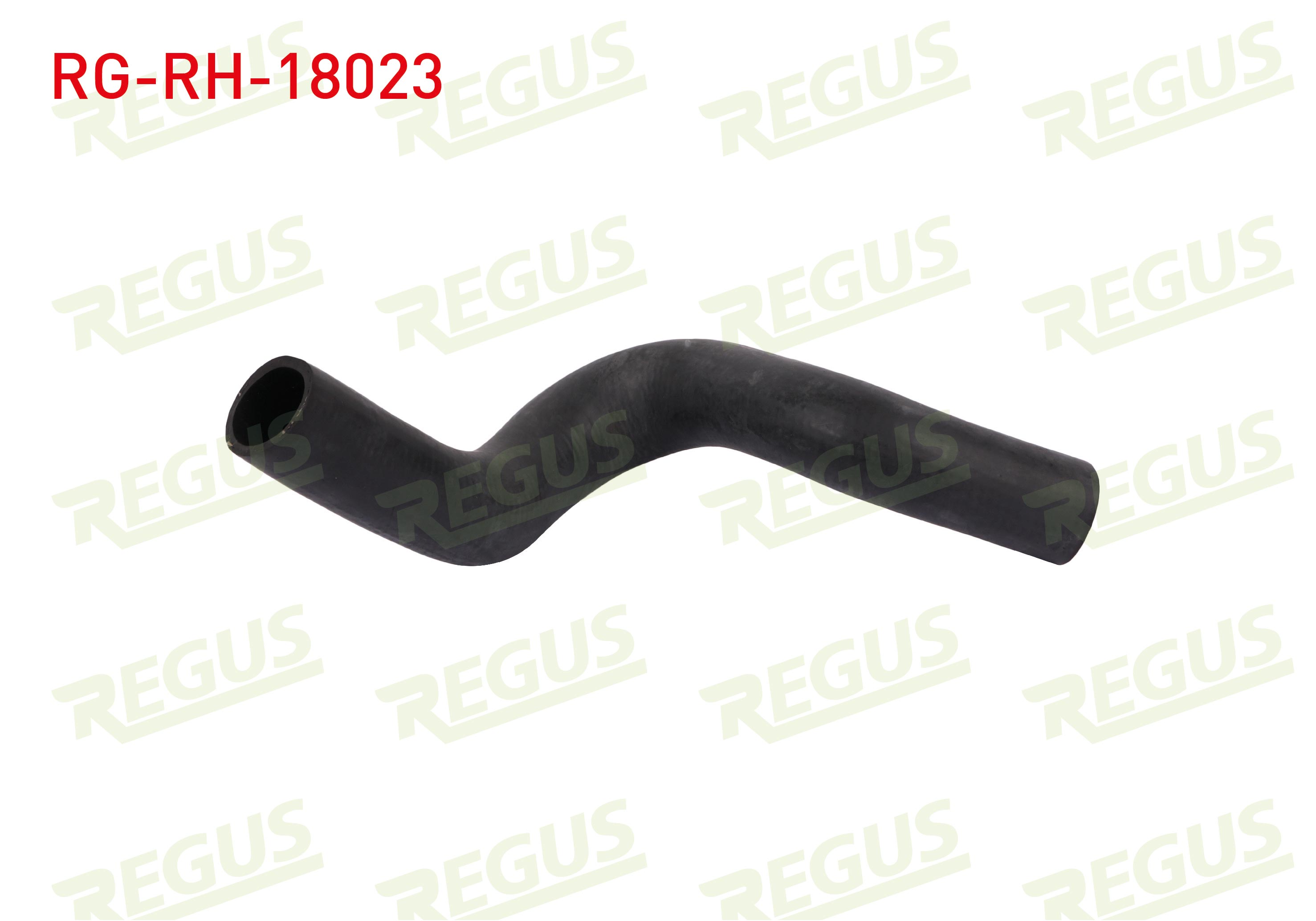 REGUS 
