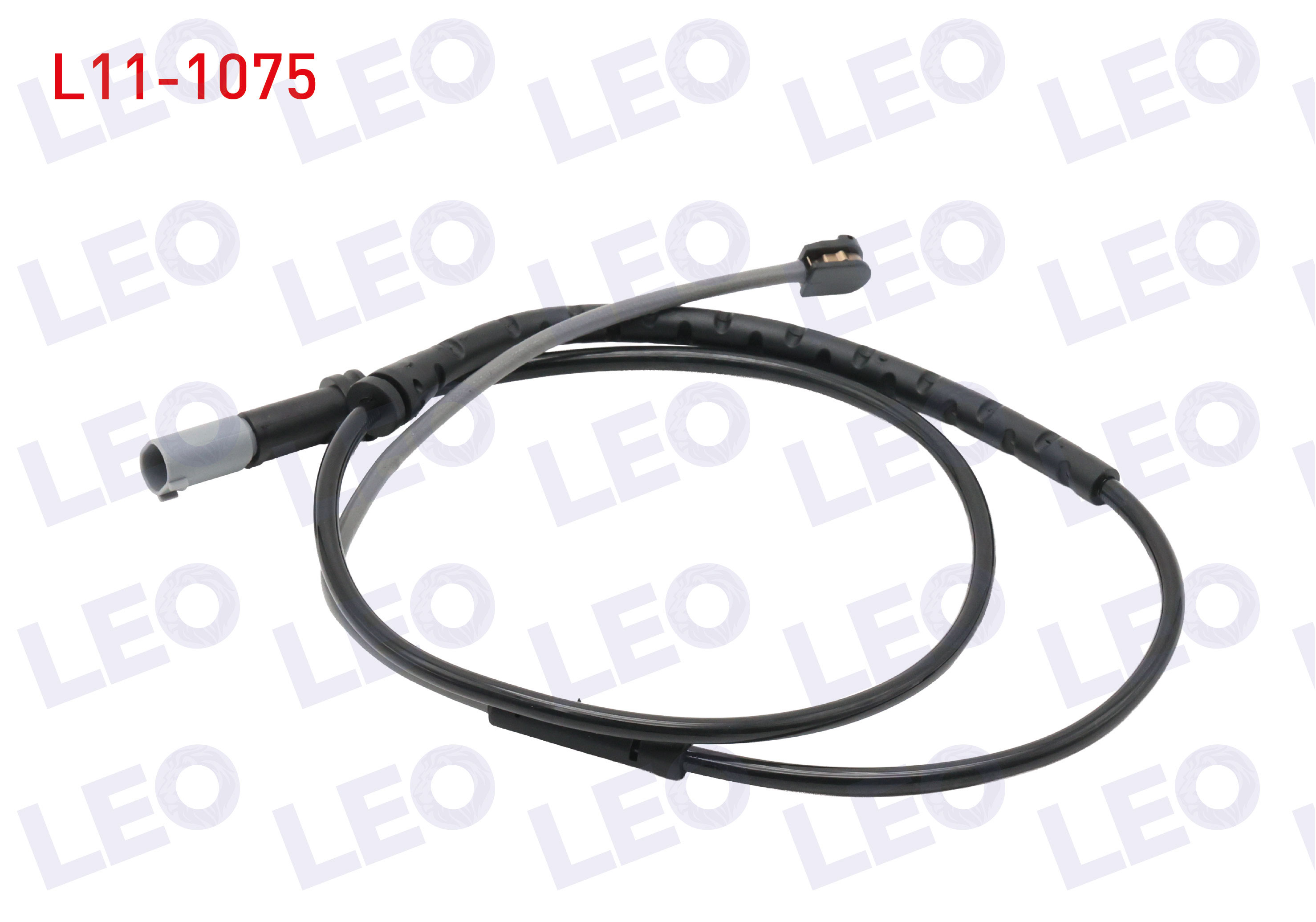 LEO 