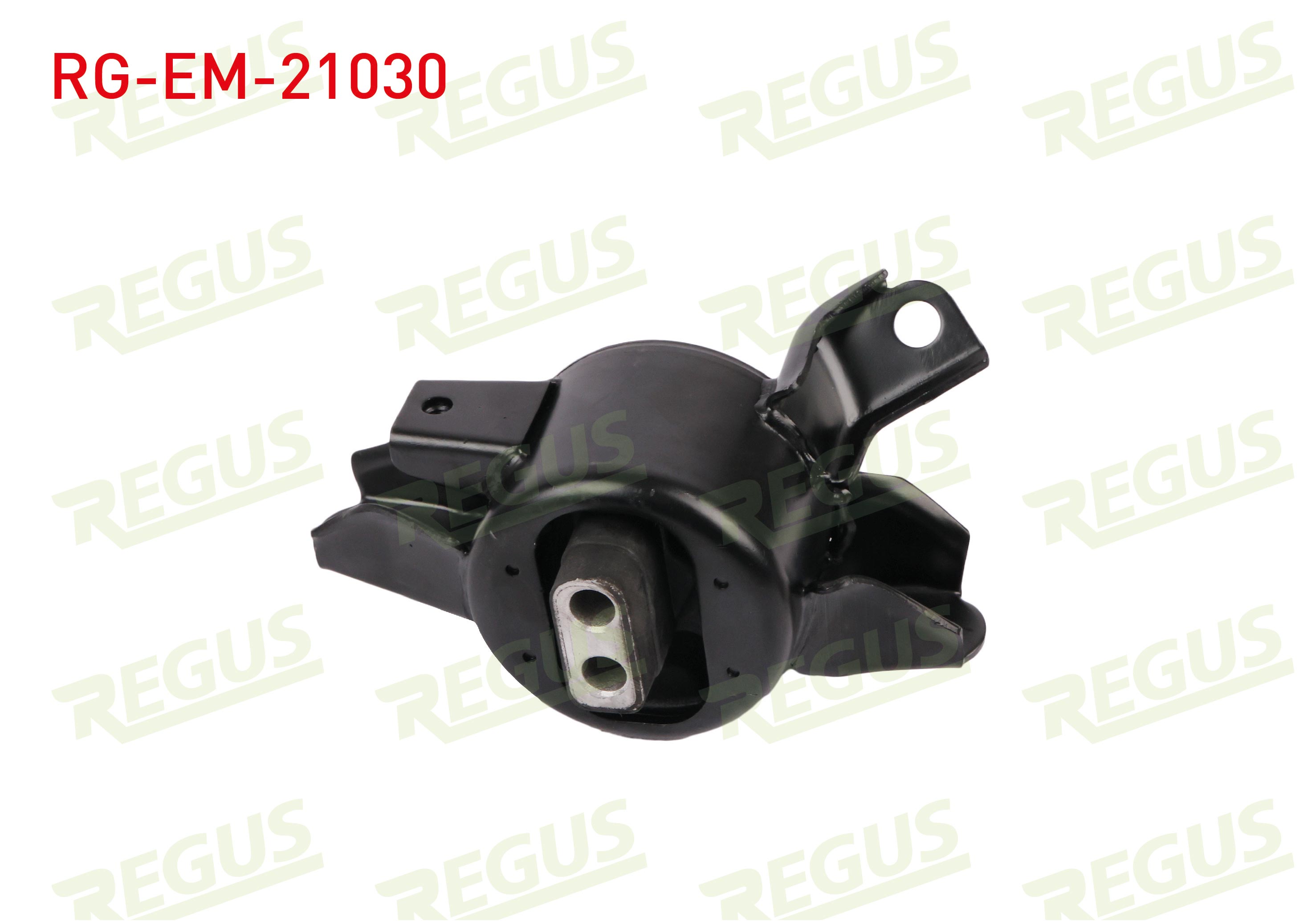 REGUS 61-11130