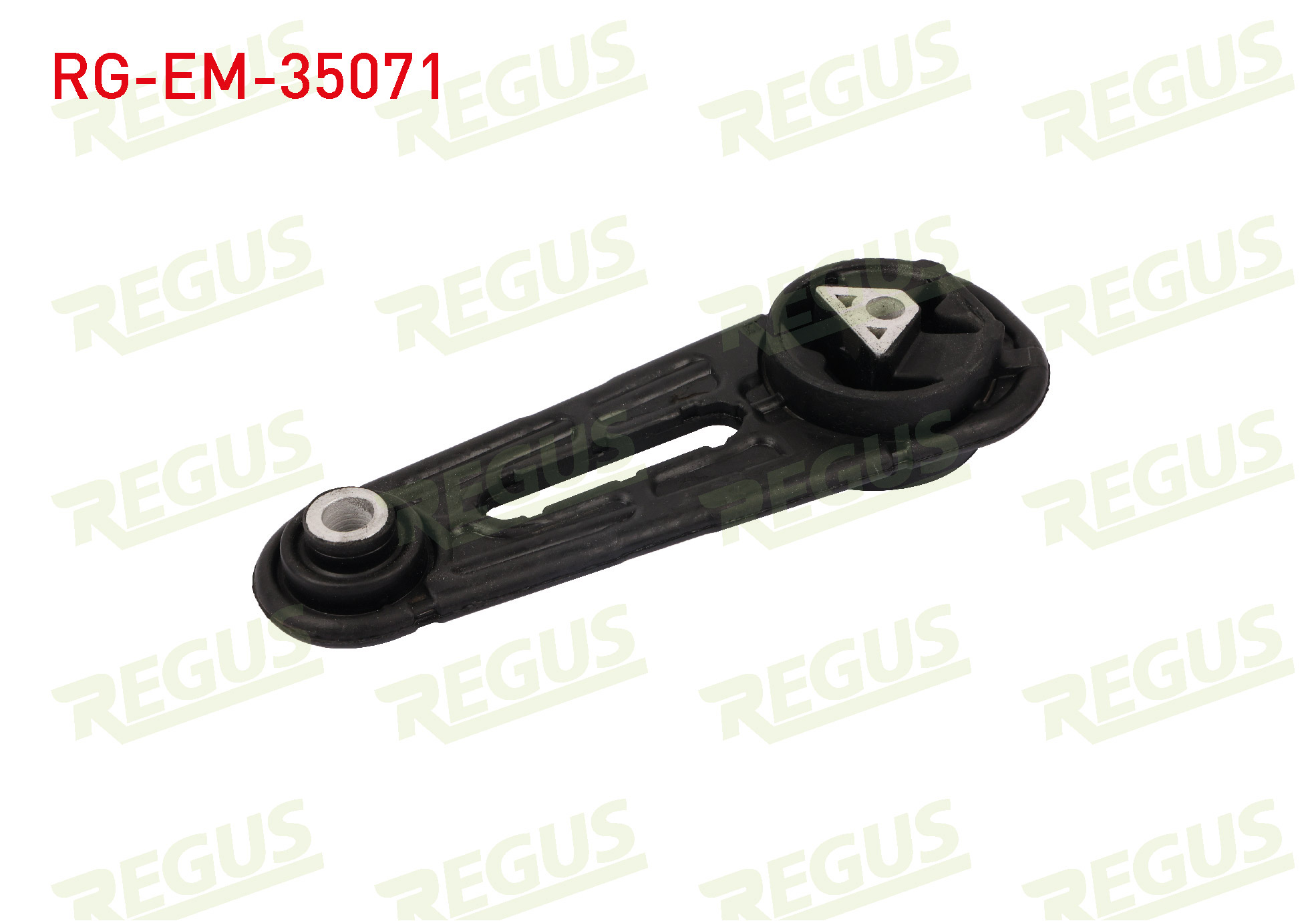 REGUS SC 233