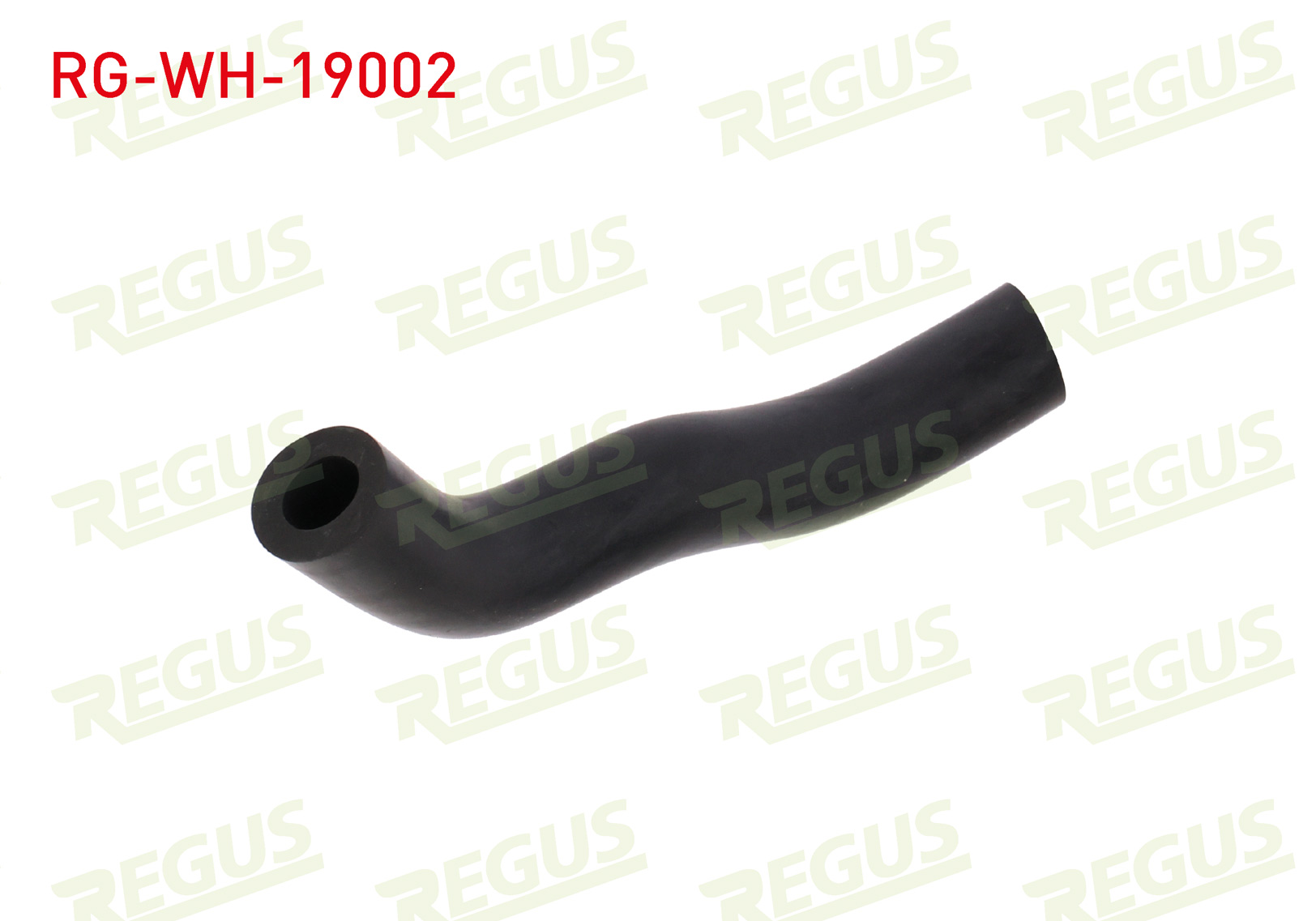 REGUS 