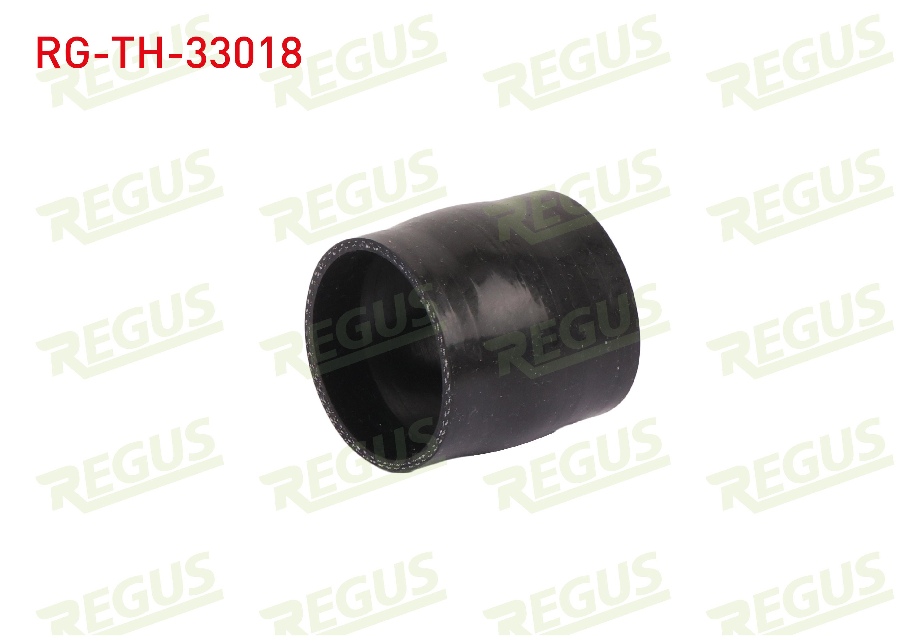 REGUS 17373
