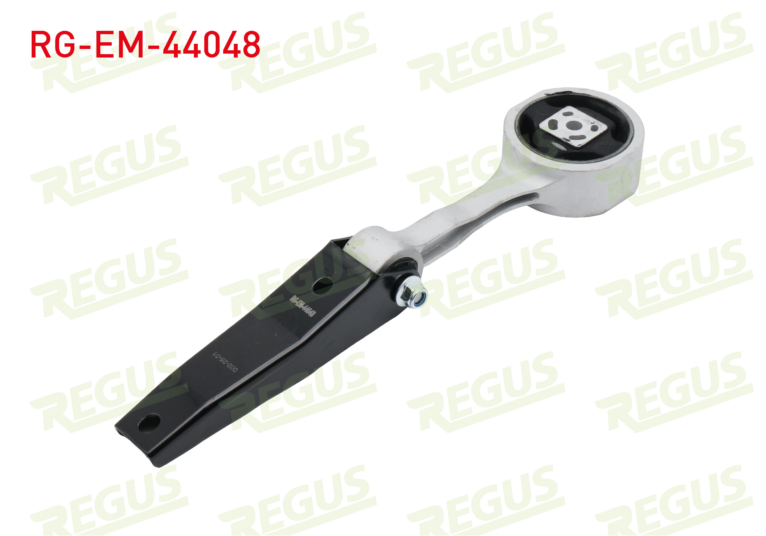 REGUS 31127
