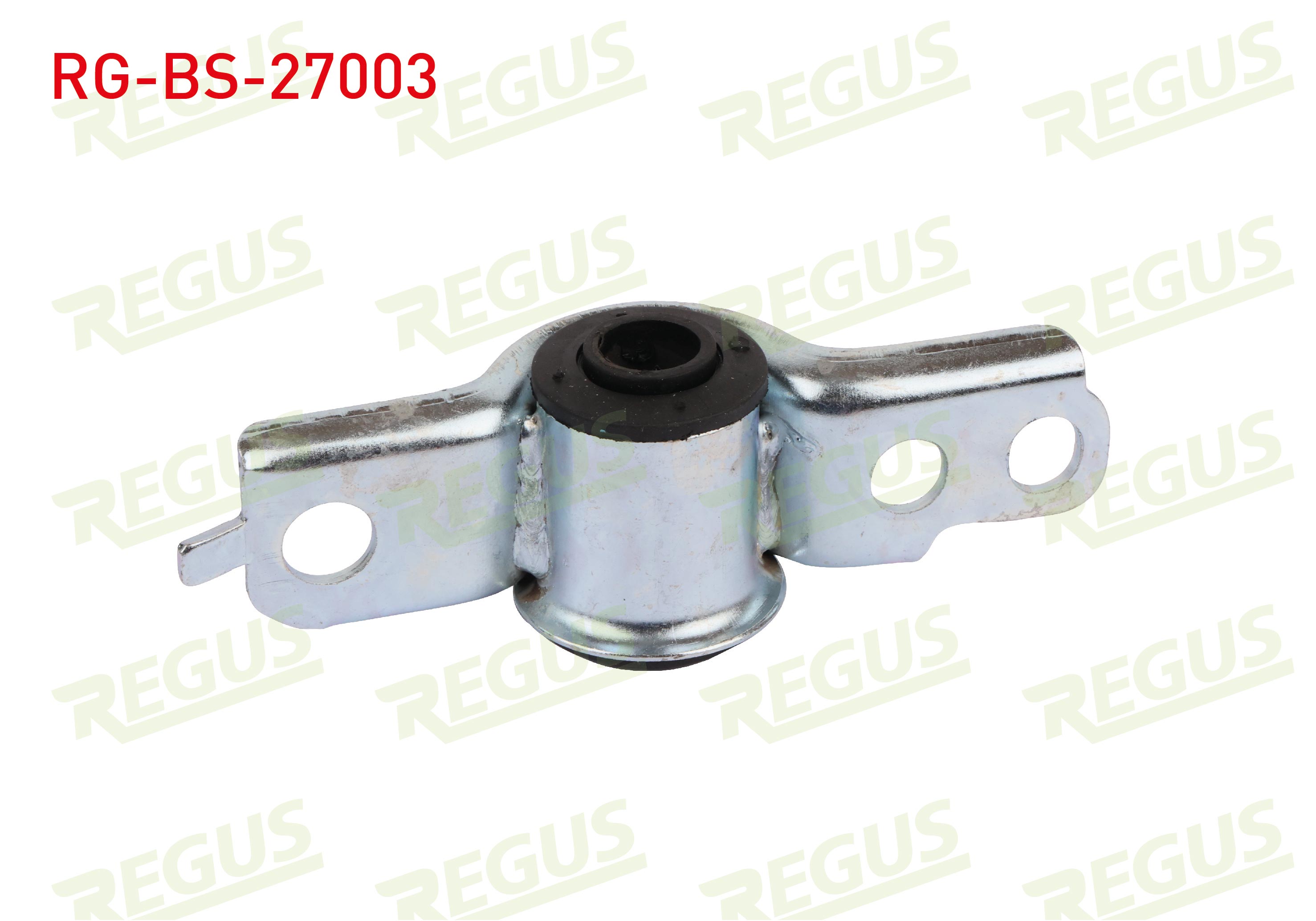 REGUS 57-08582