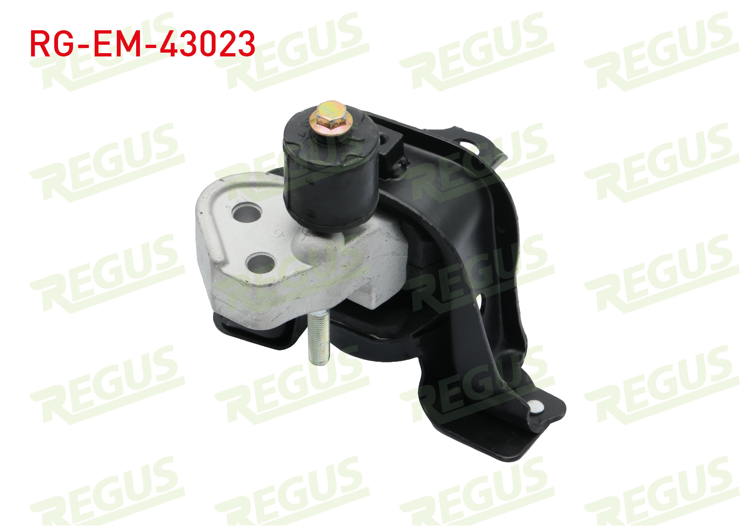 REGUS 
