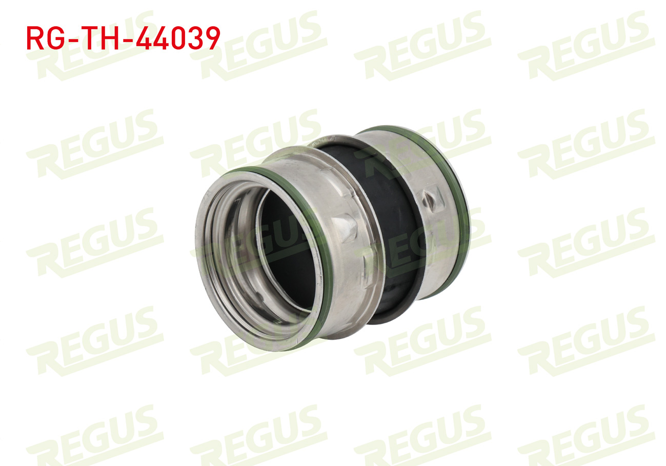 REGUS 