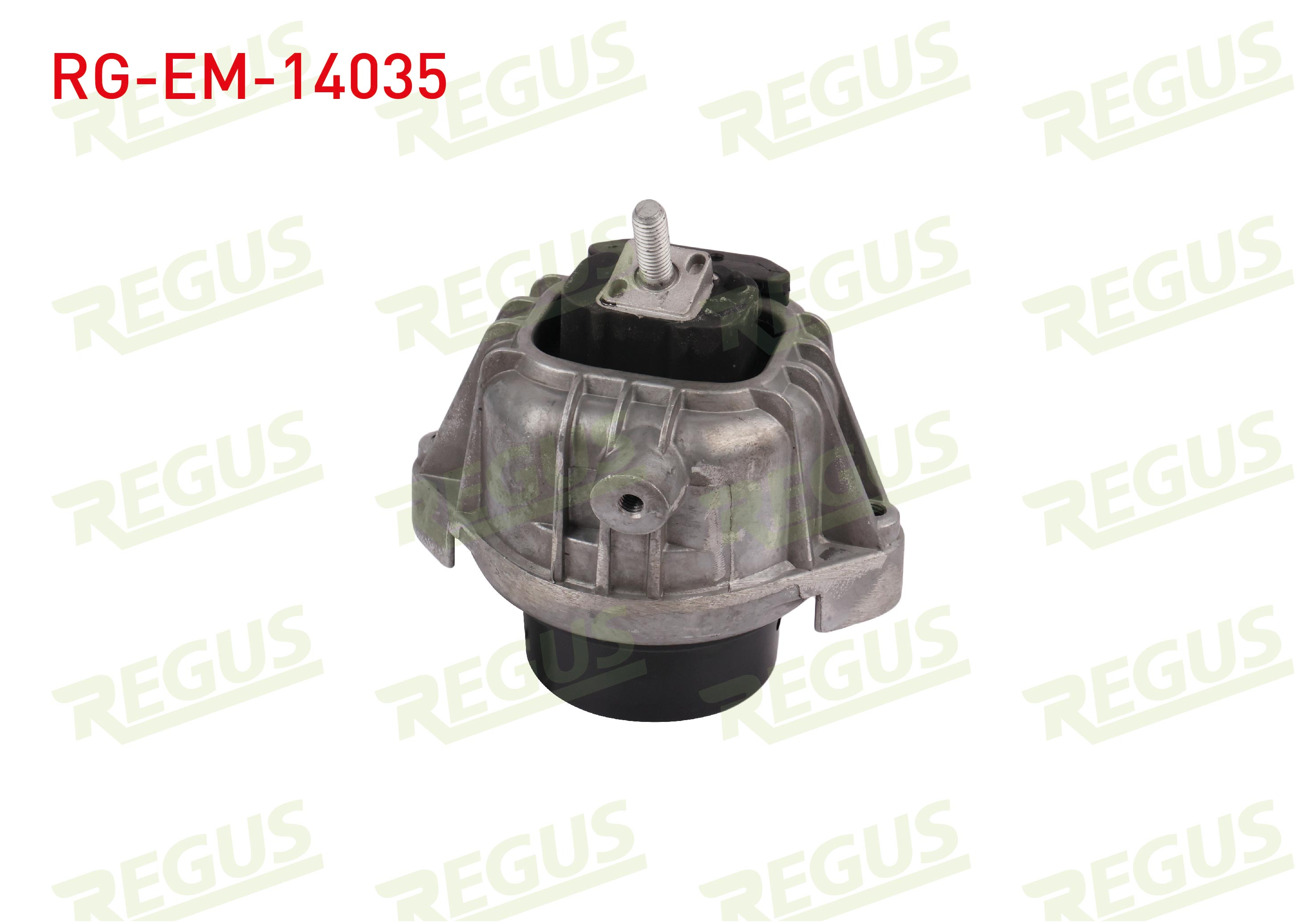 REGUS 61-11125
