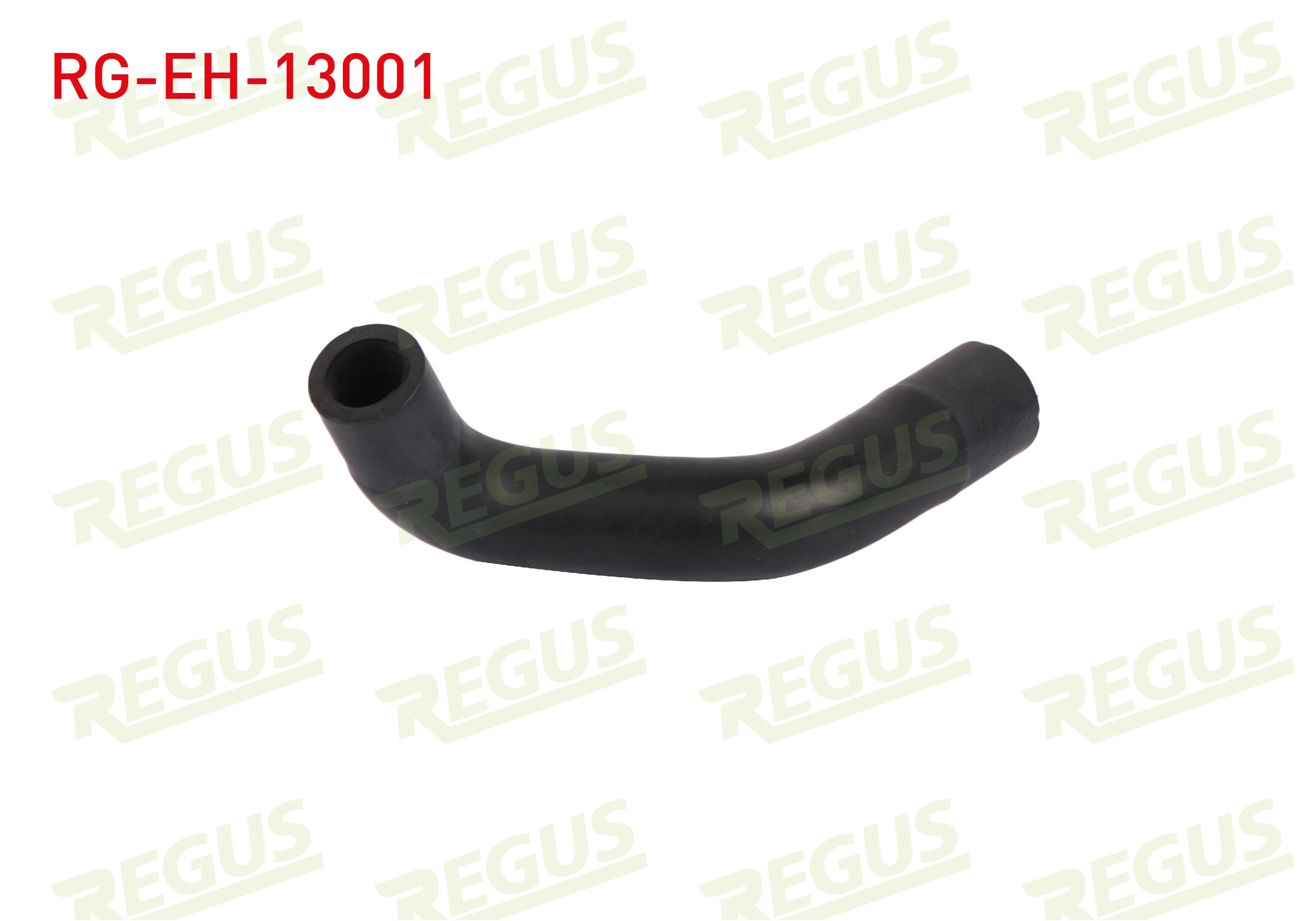 REGUS 27212