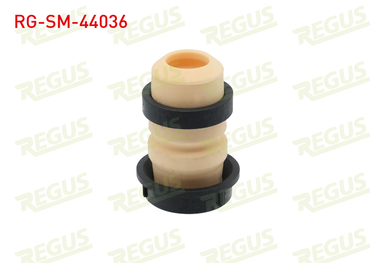 REGUS 