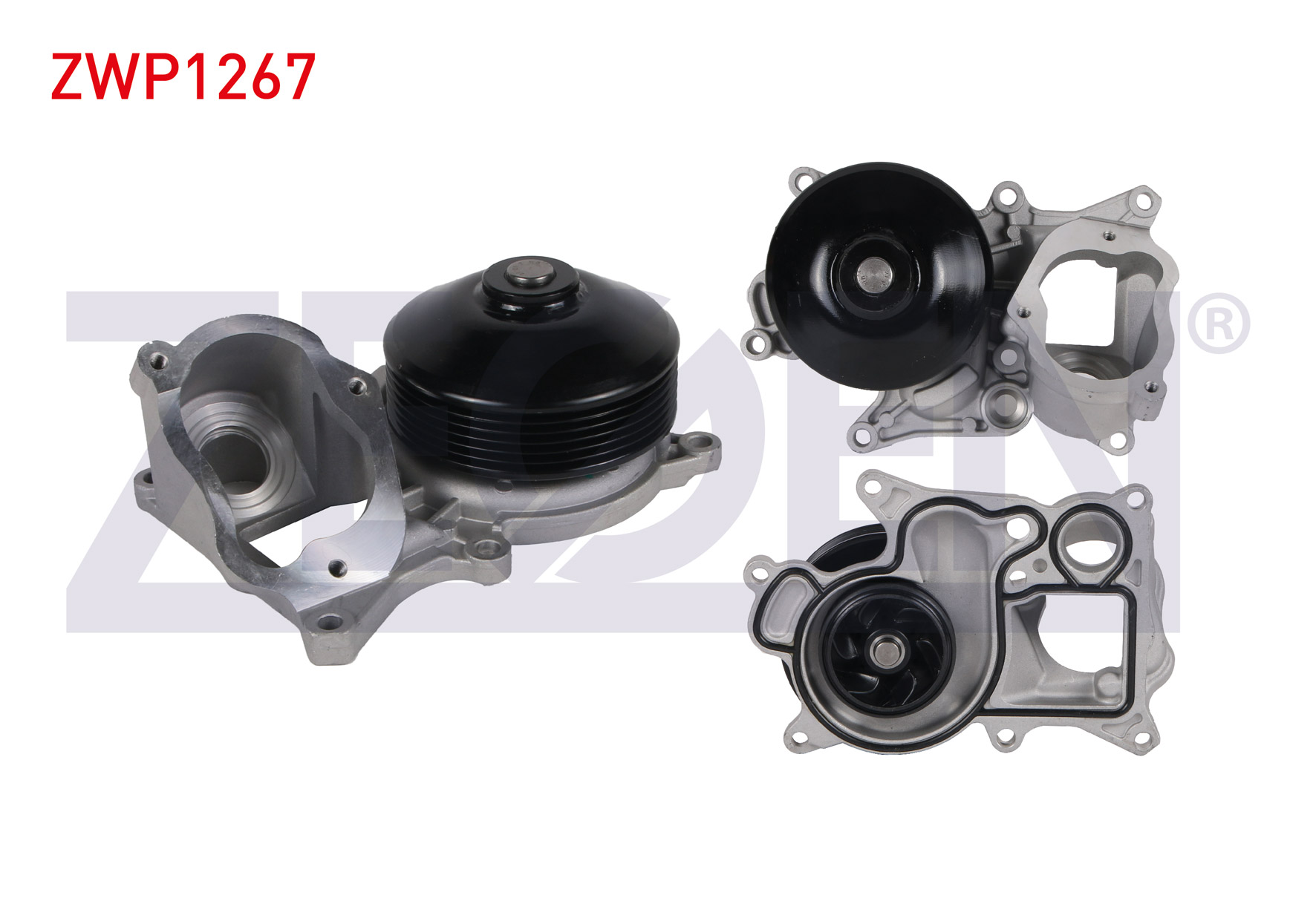 ZEGEN 980831