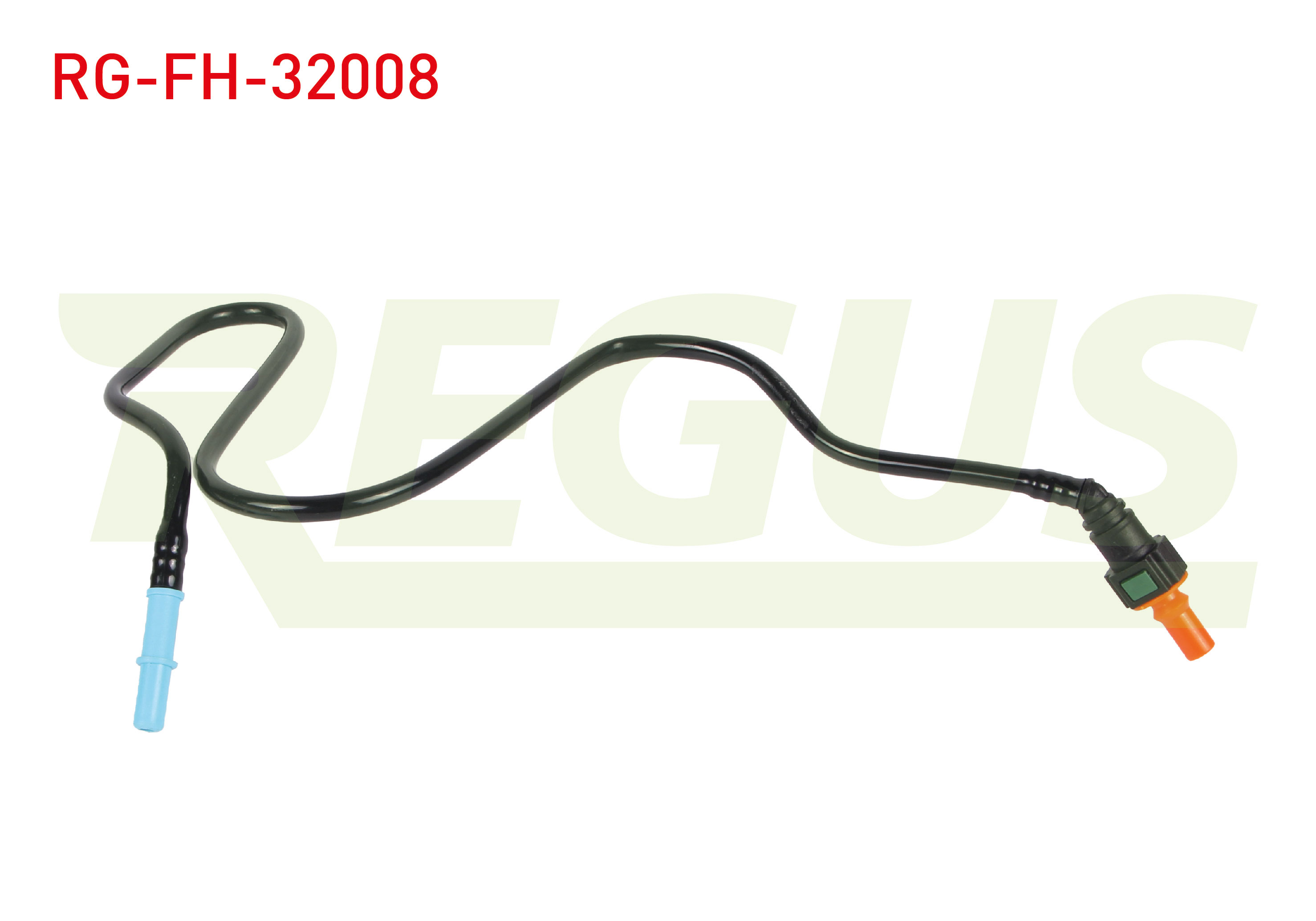 REGUS 21635