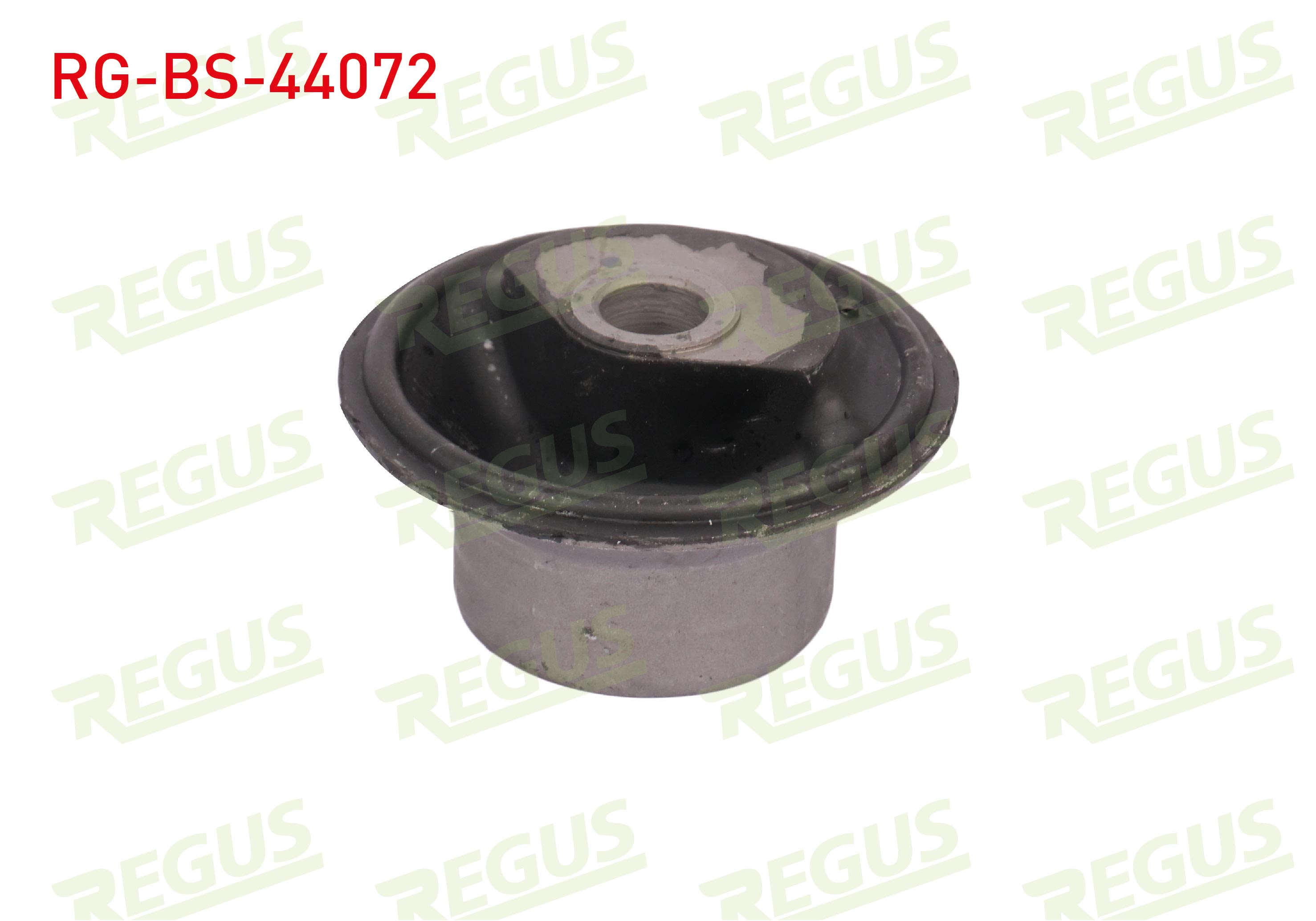 REGUS 62-01646