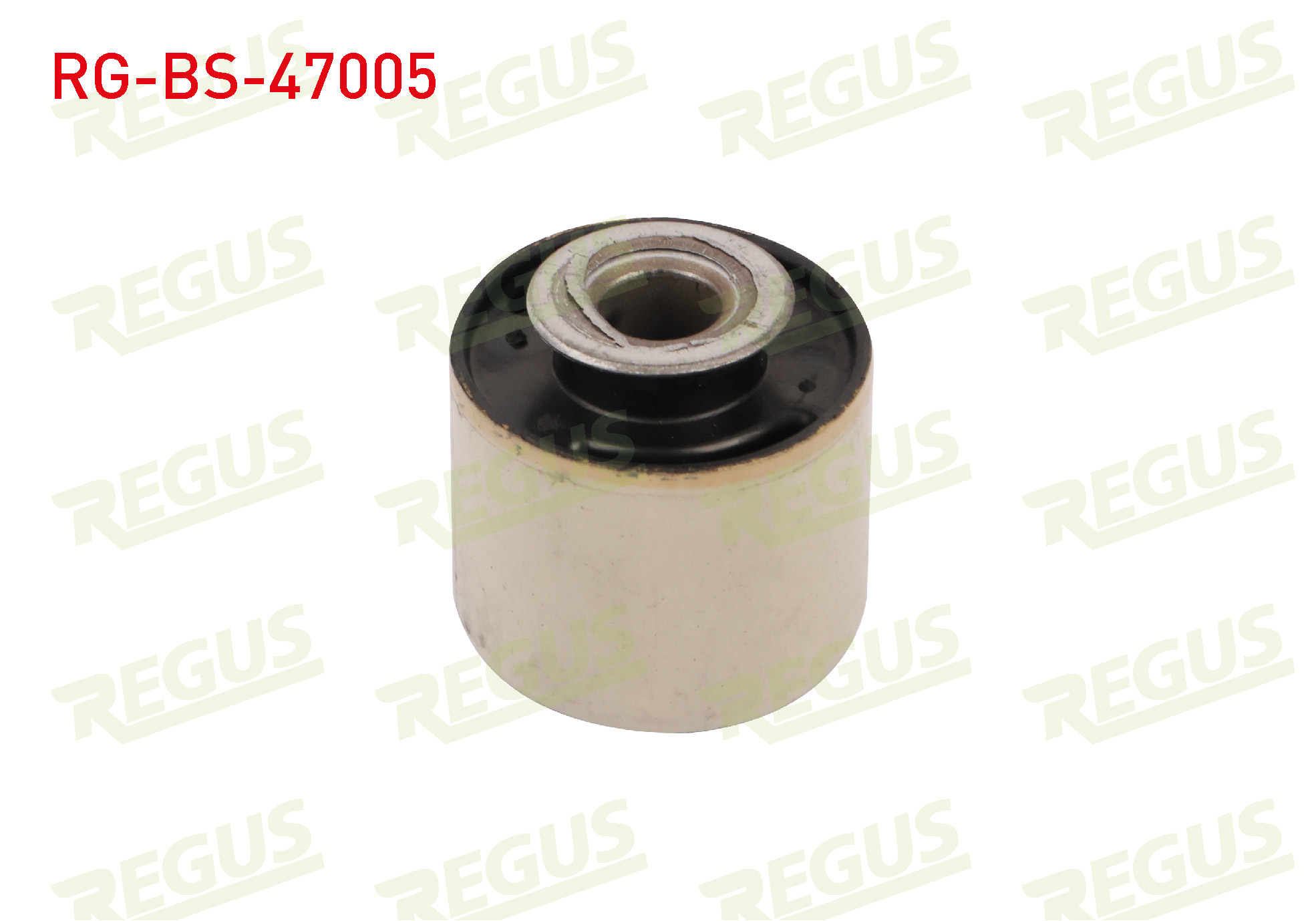 REGUS 57-10229