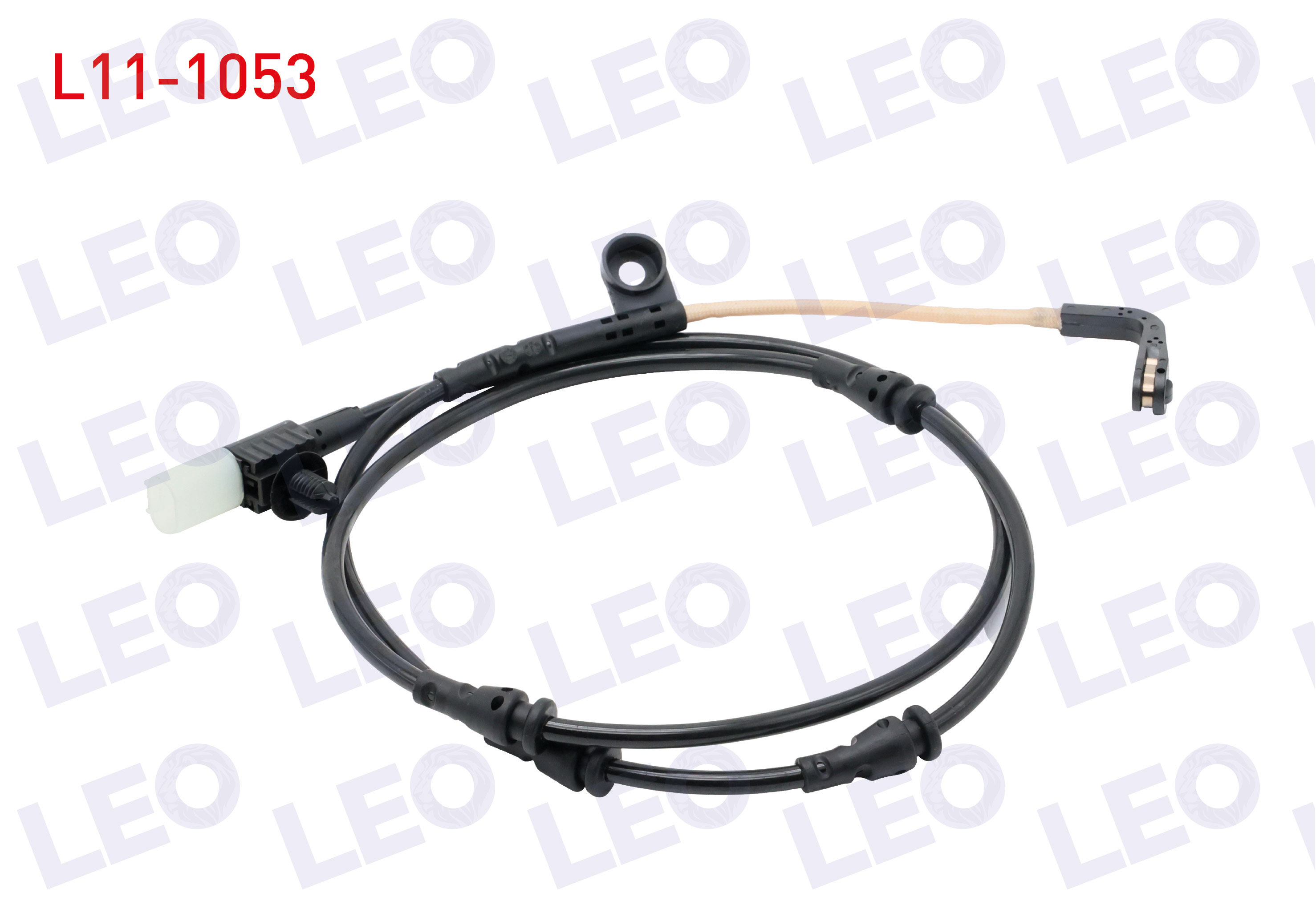 LEO 
