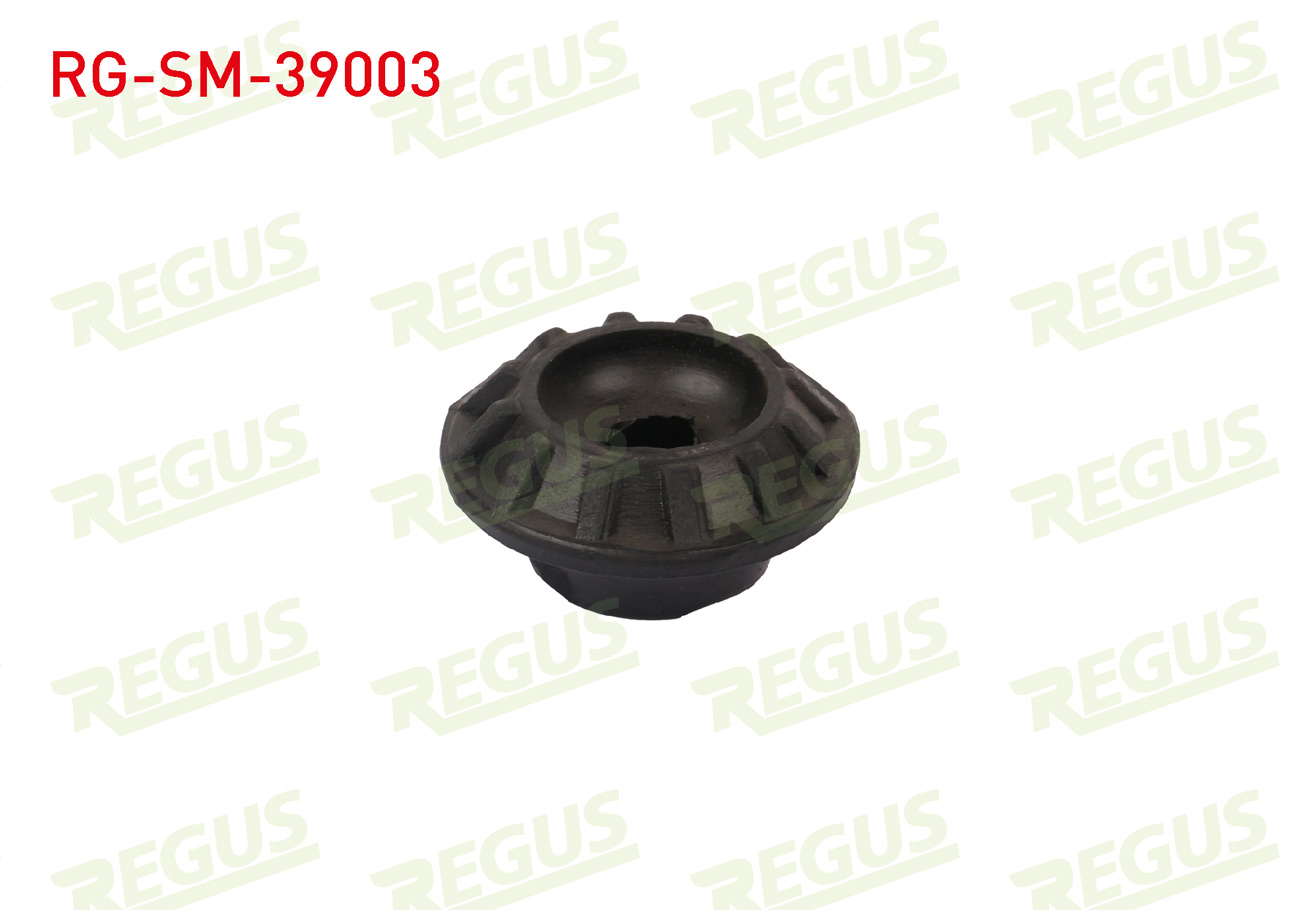 REGUS 63-04960