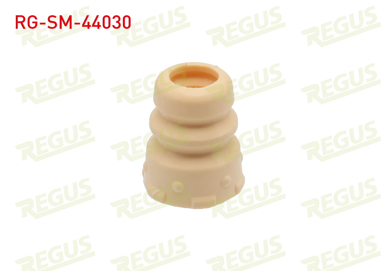 REGUS 23460