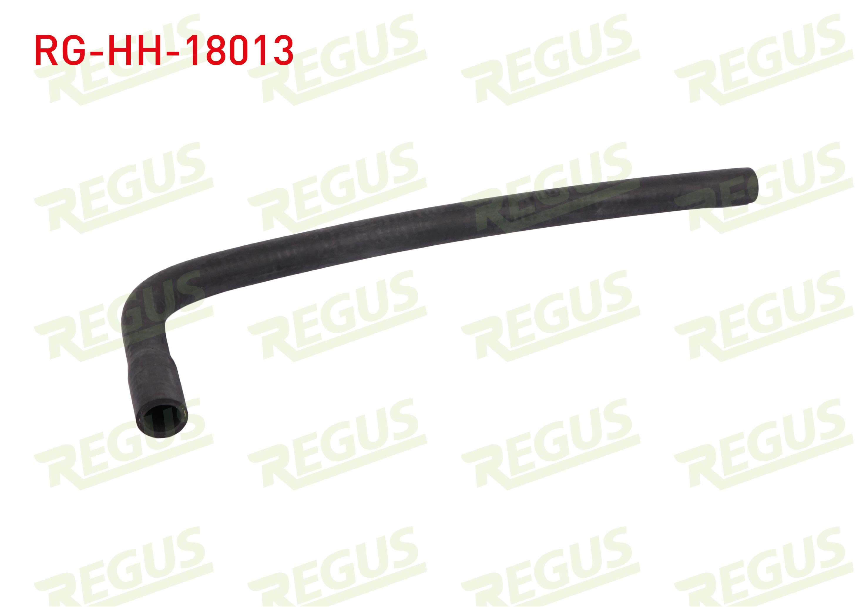 REGUS 14011