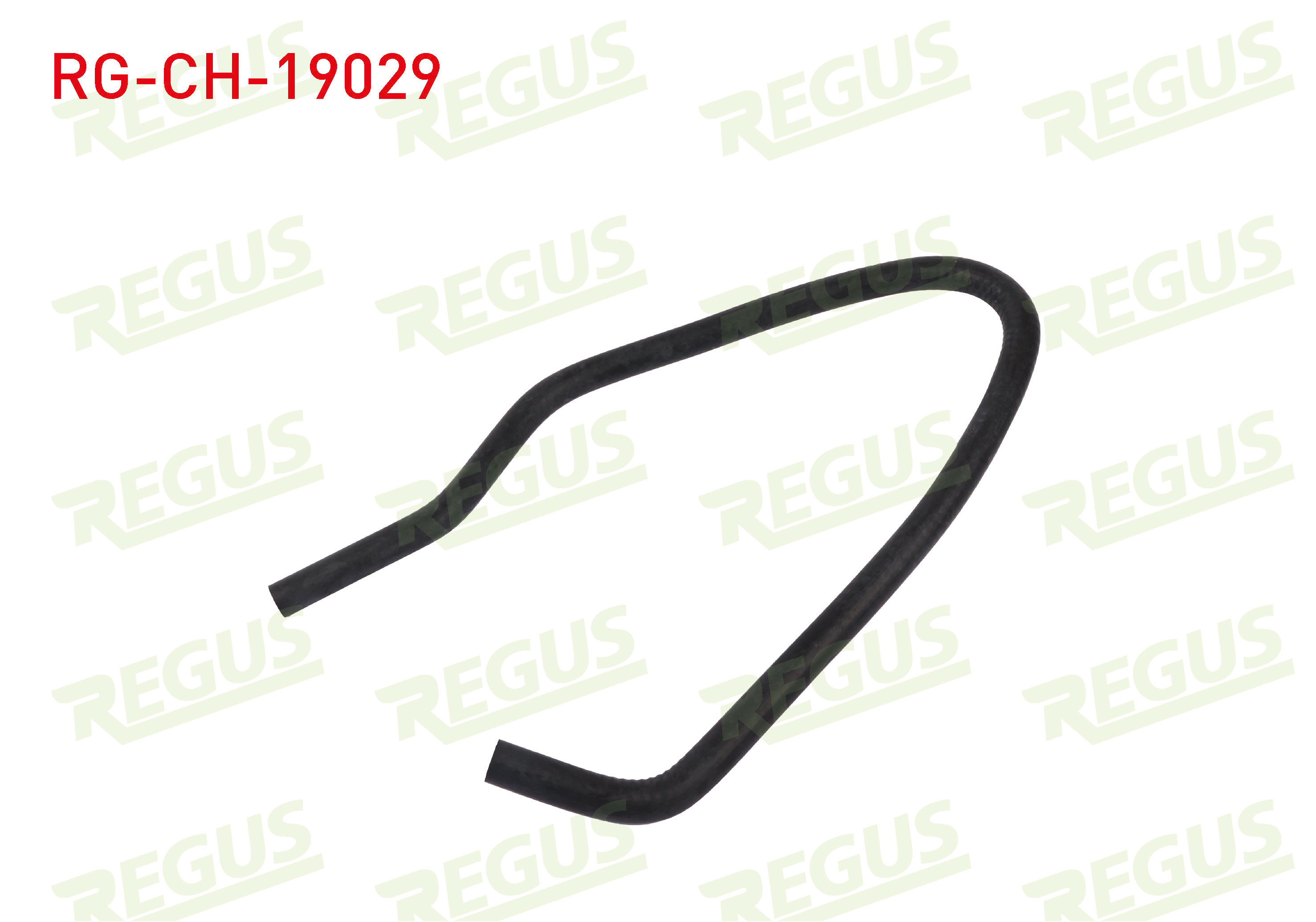 REGUS 19578