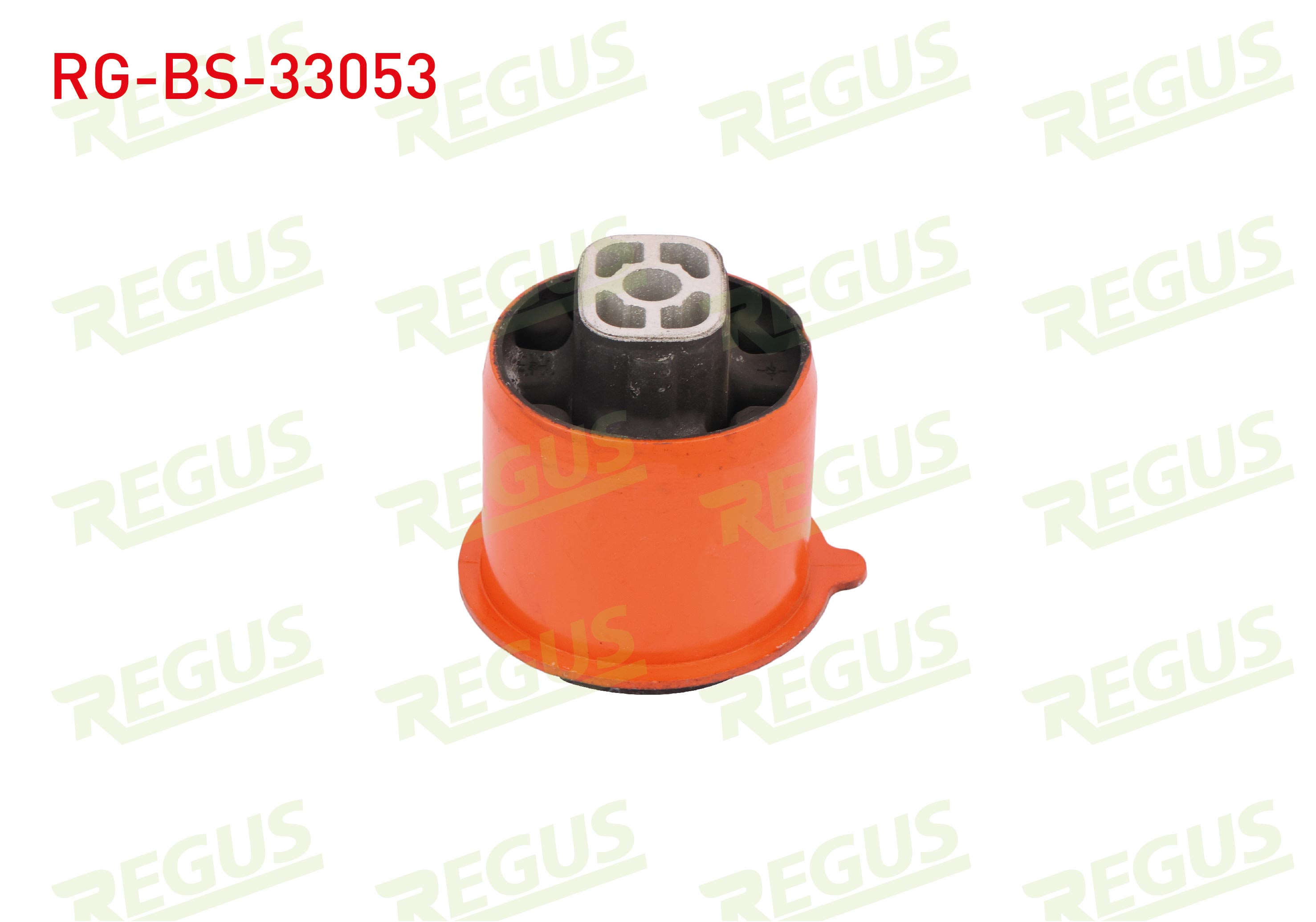 REGUS 