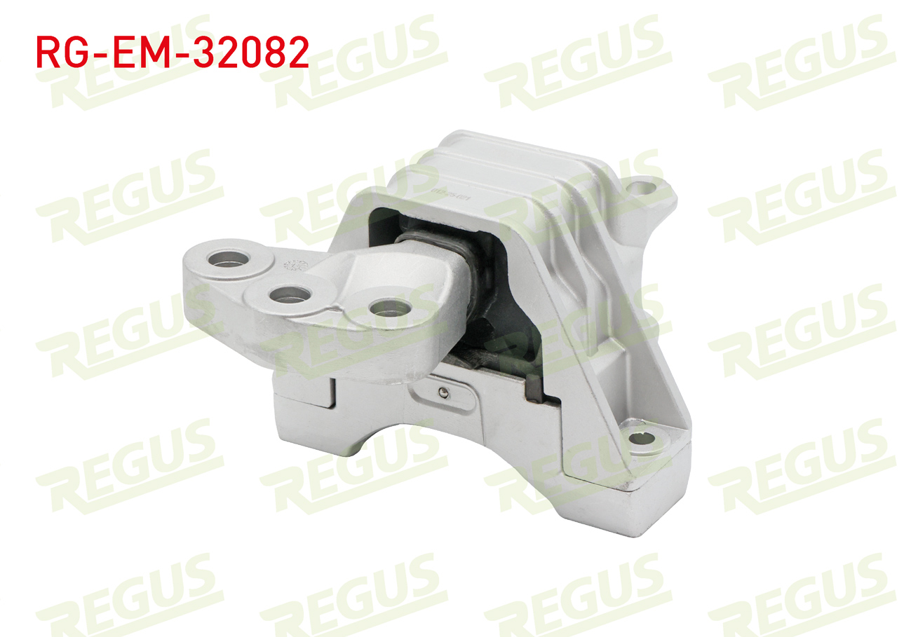 REGUS 