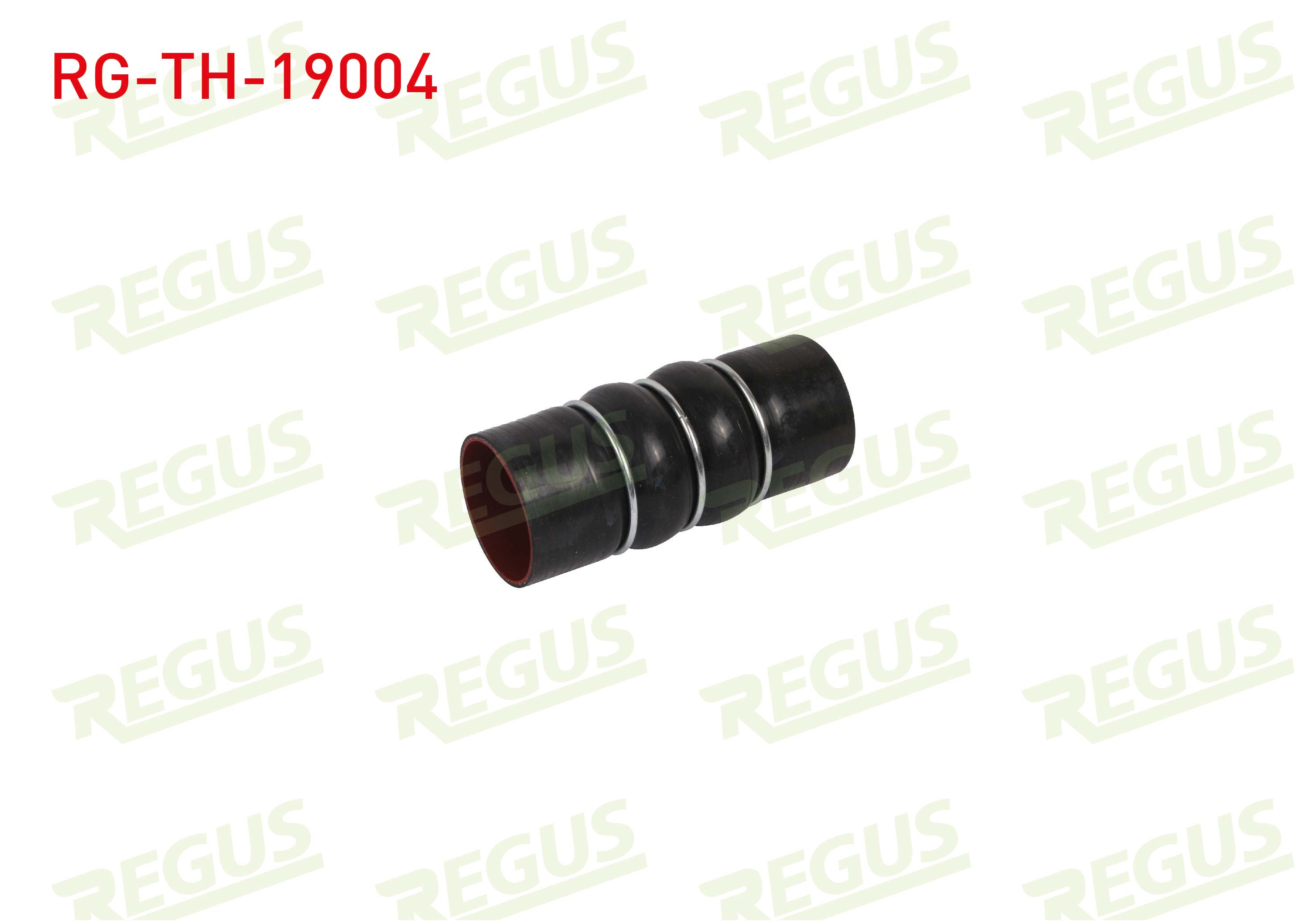 REGUS 19862