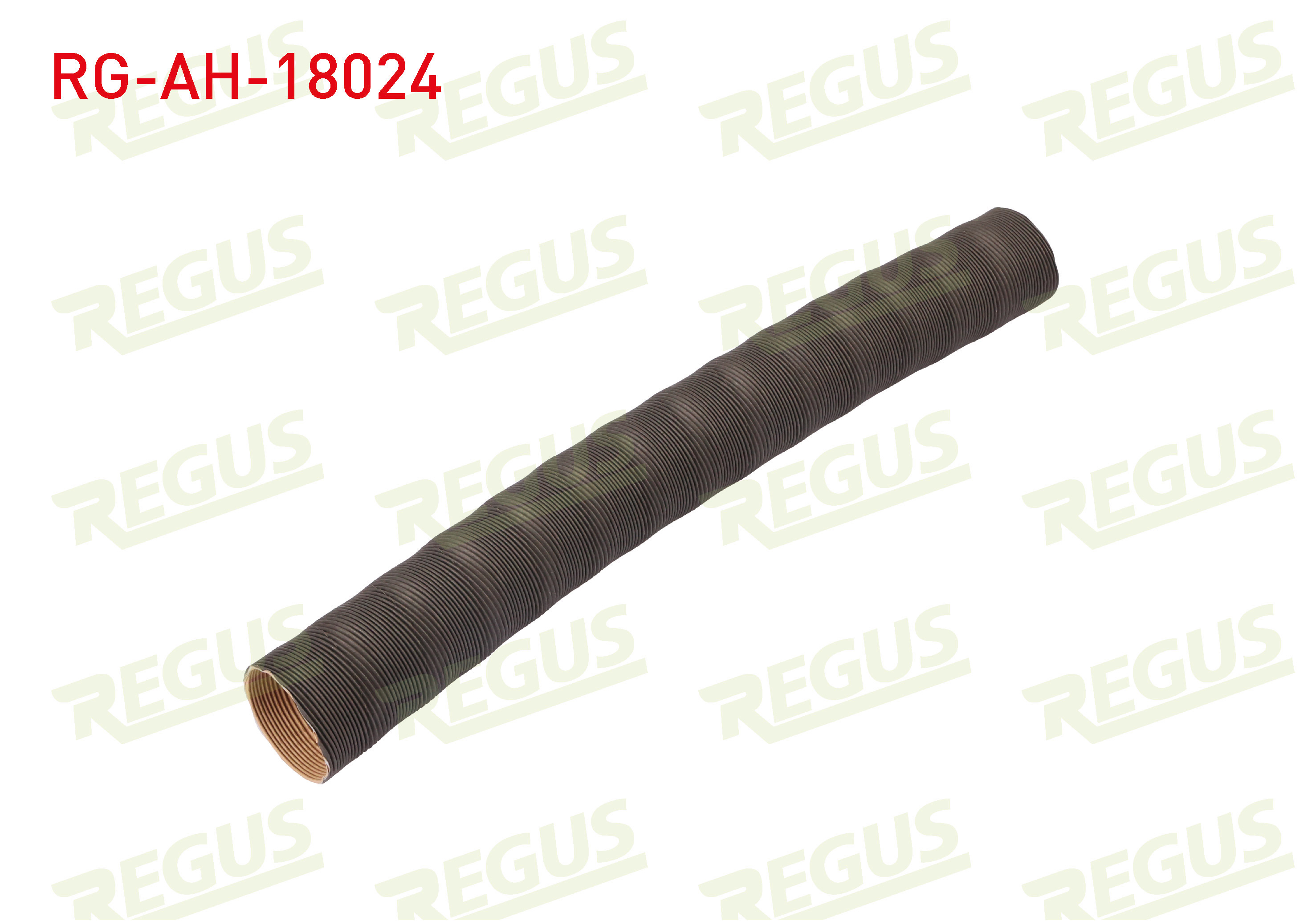 REGUS 14123