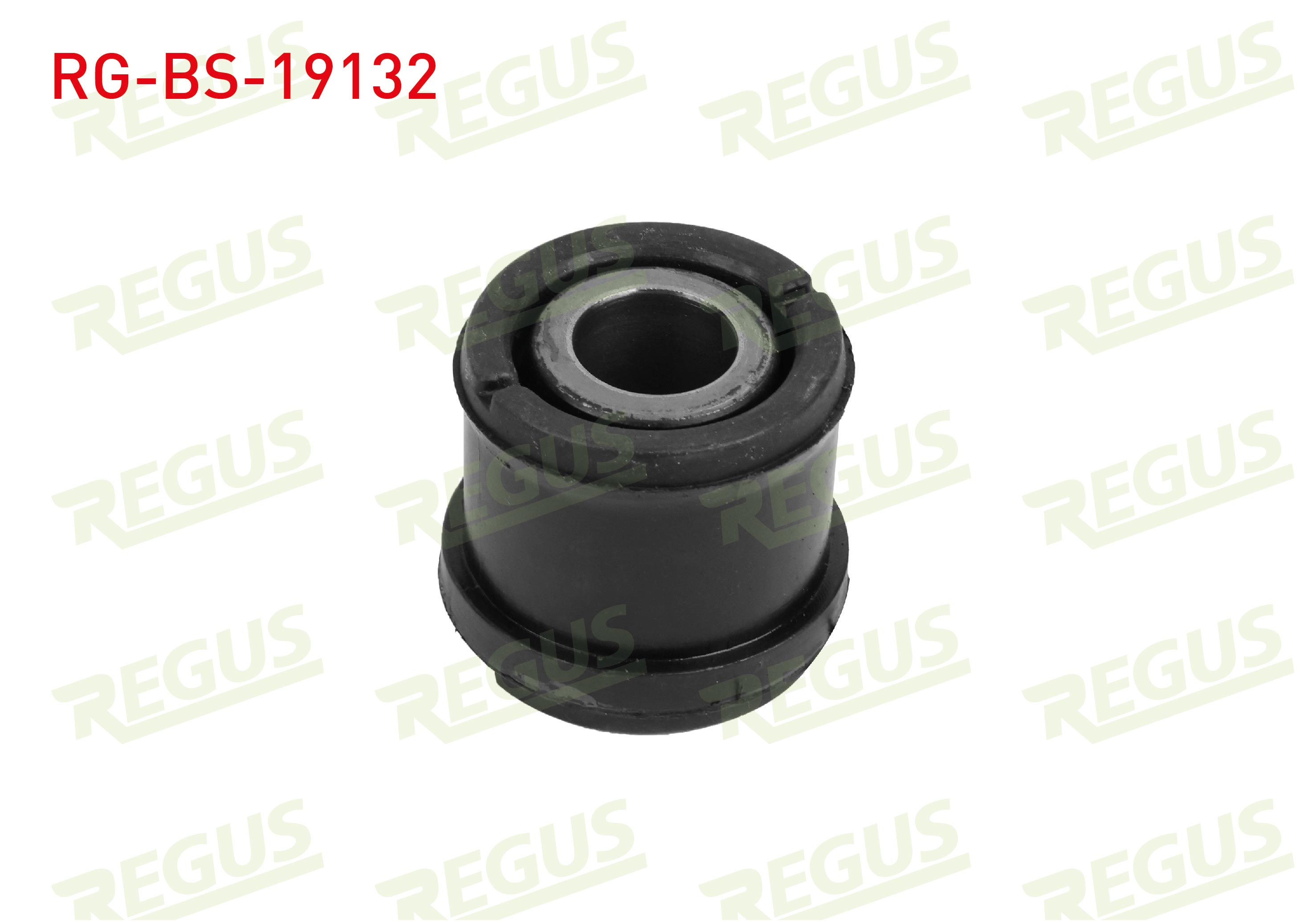 REGUS 62-13910