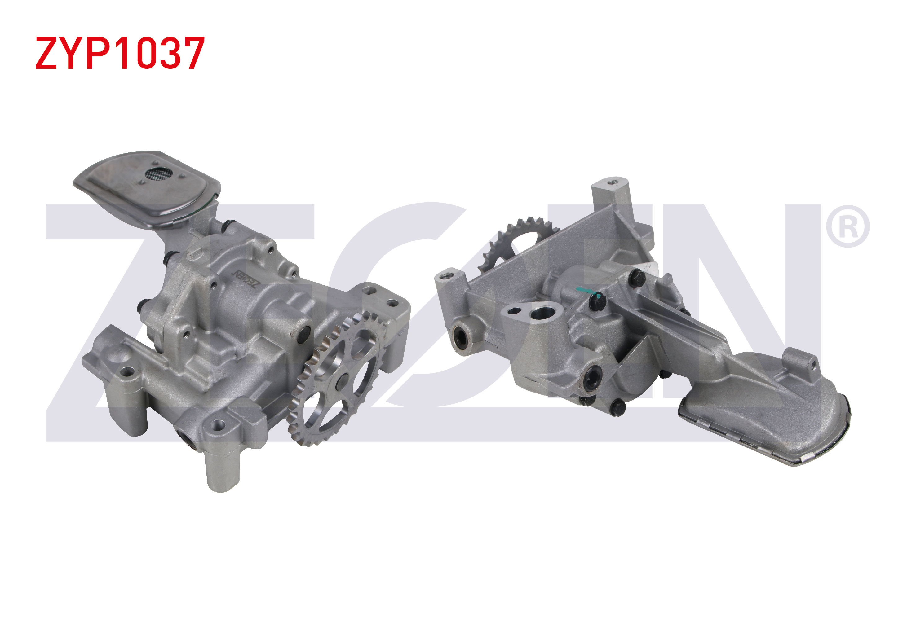 ZEGEN 359002100260