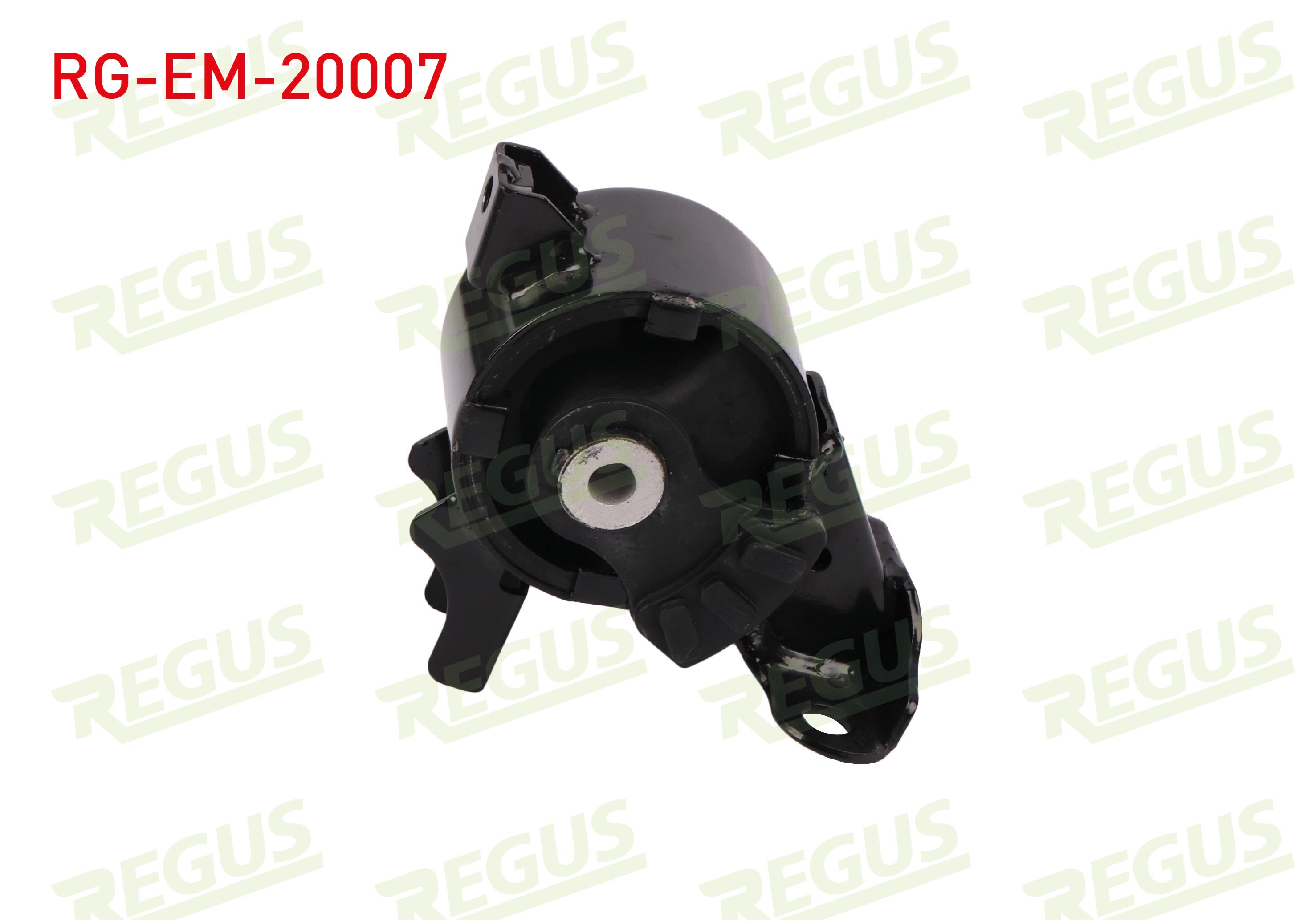 REGUS 61-06238