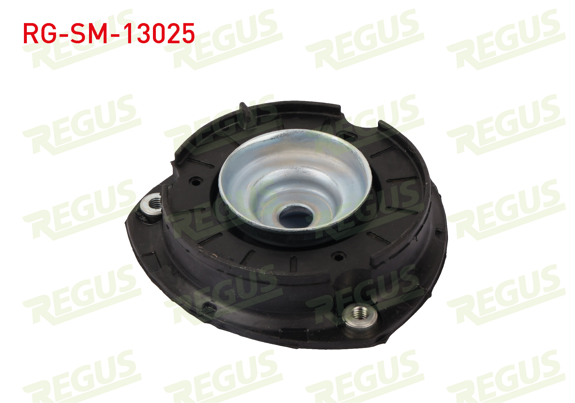 REGUS 63-11138