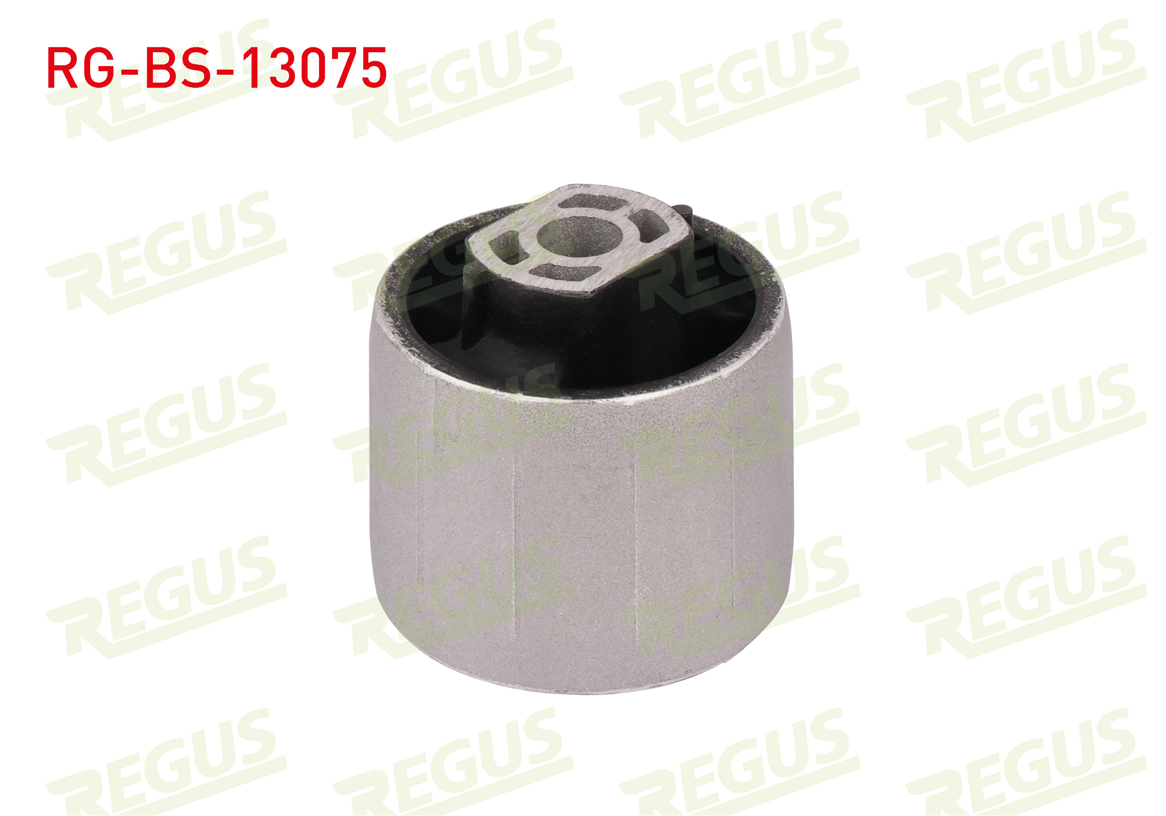REGUS 57-11064