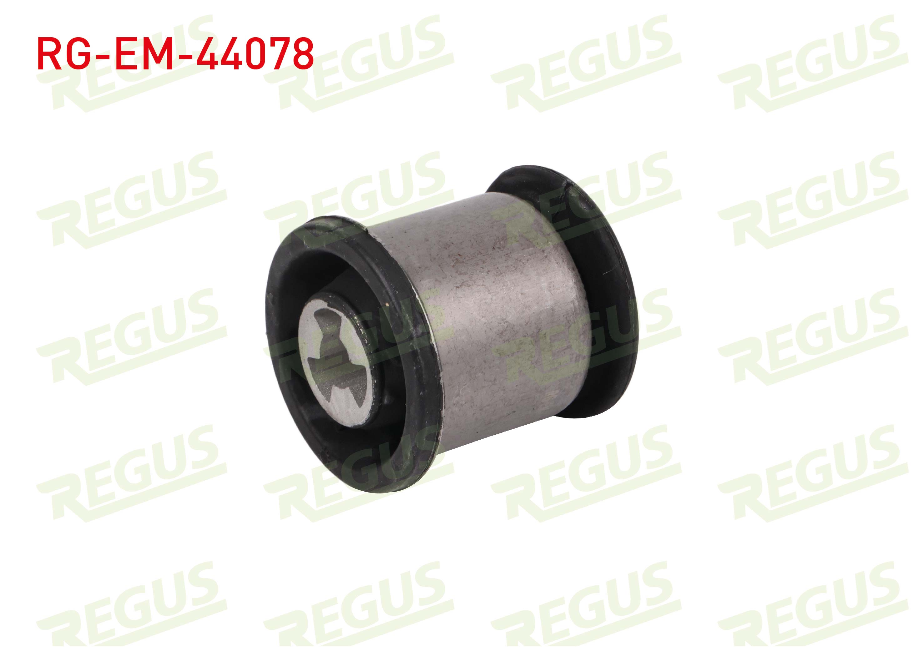 REGUS 62-09026