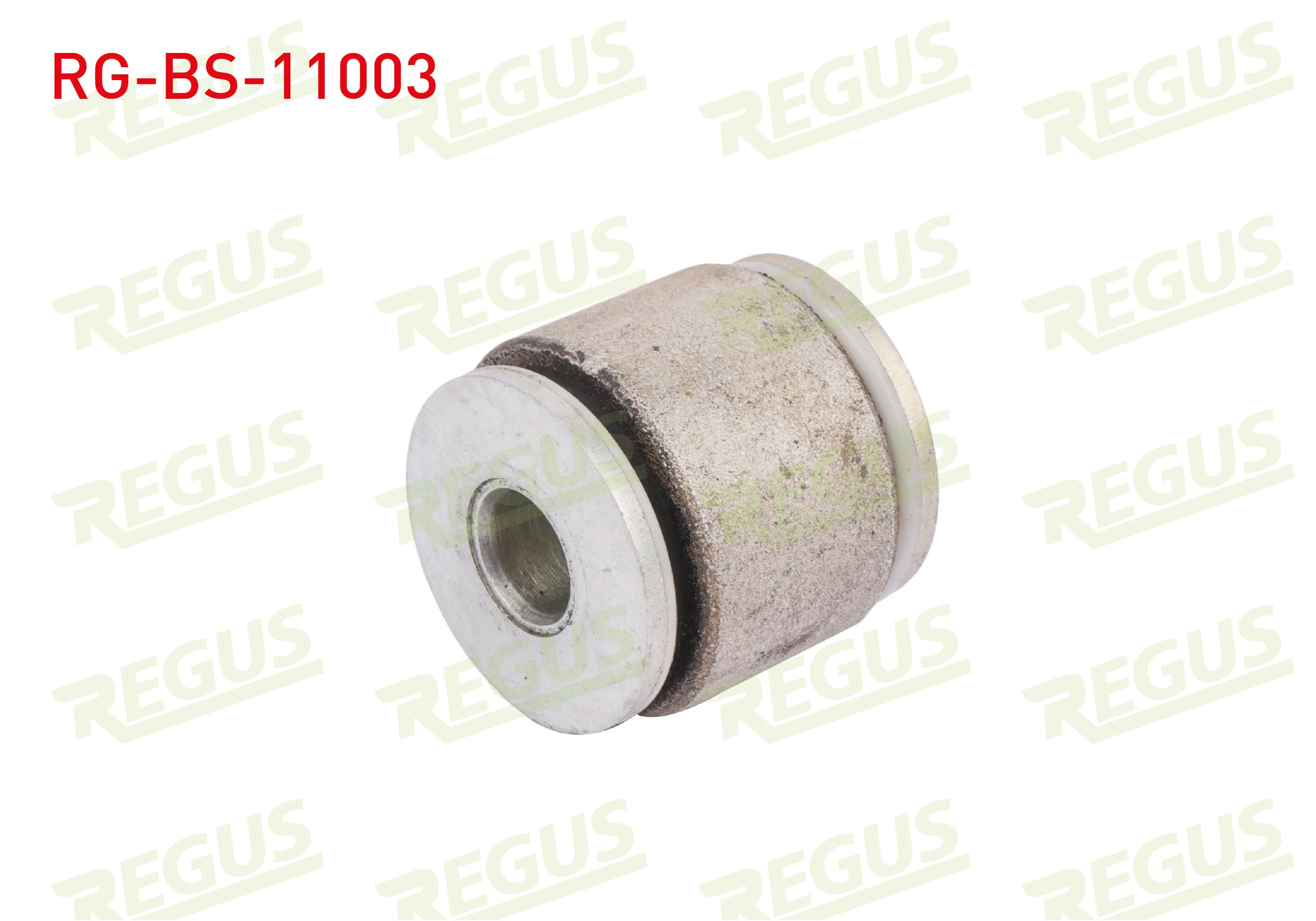 REGUS SB 365