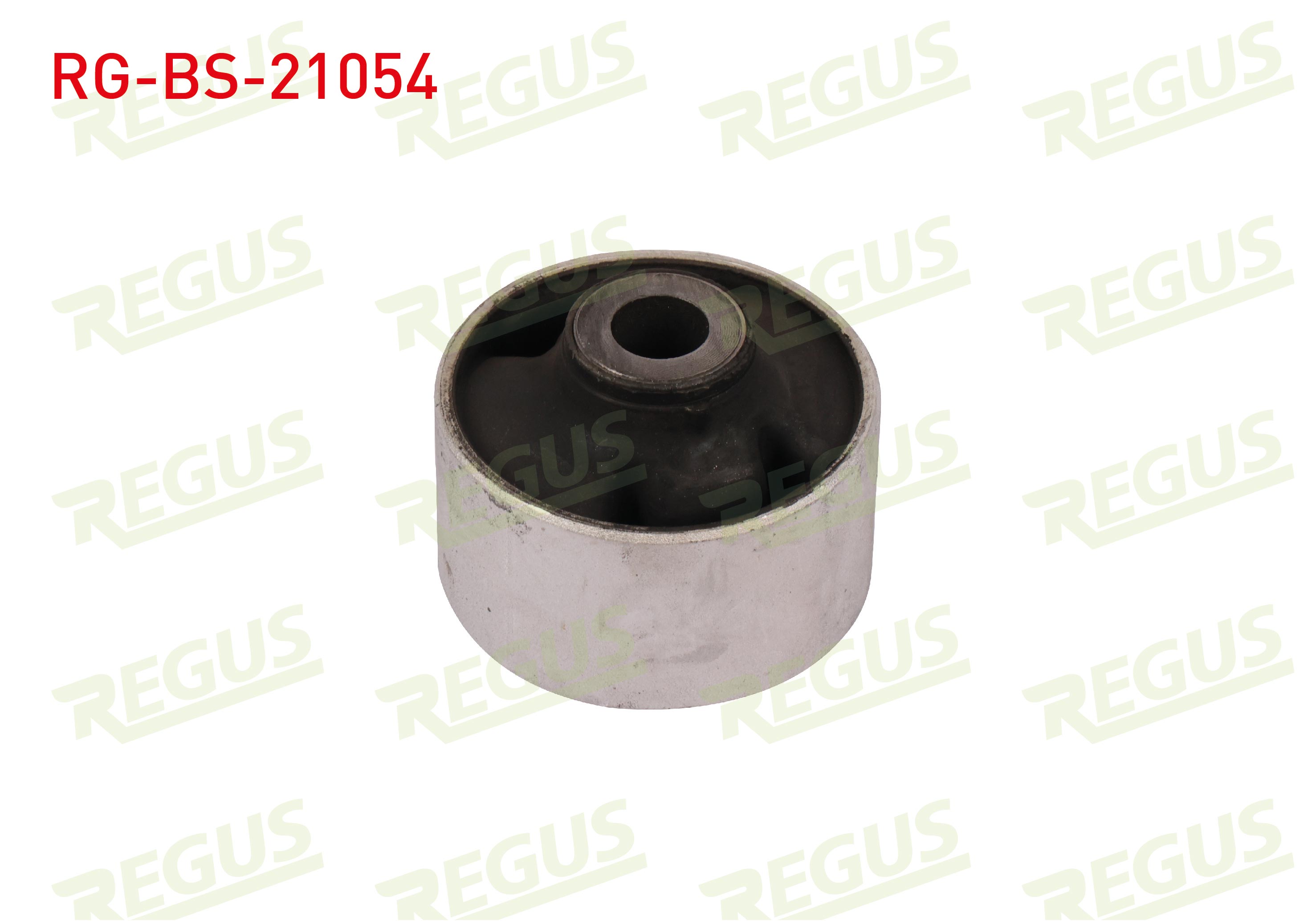 REGUS 57-10554