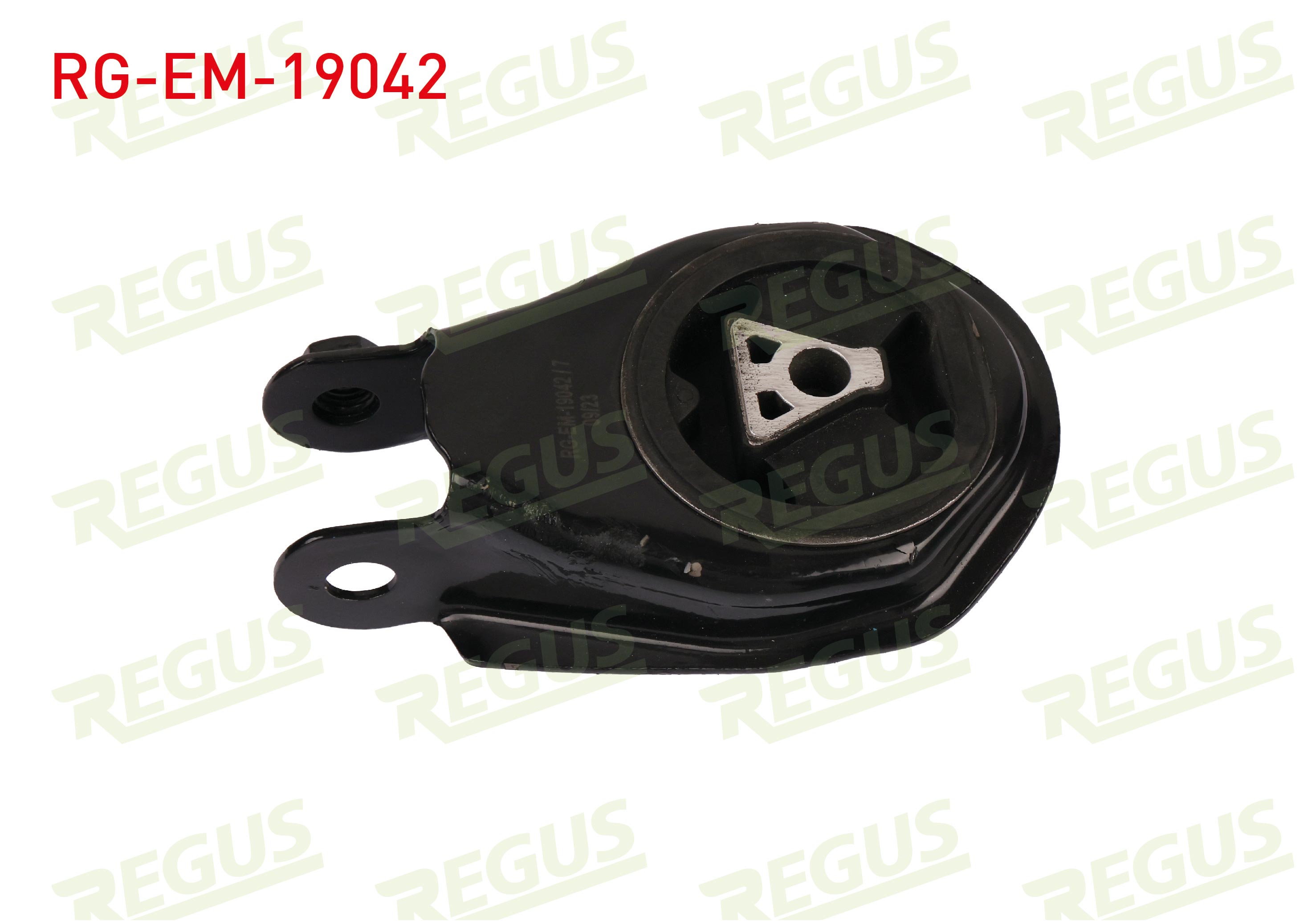 REGUS 62-11398