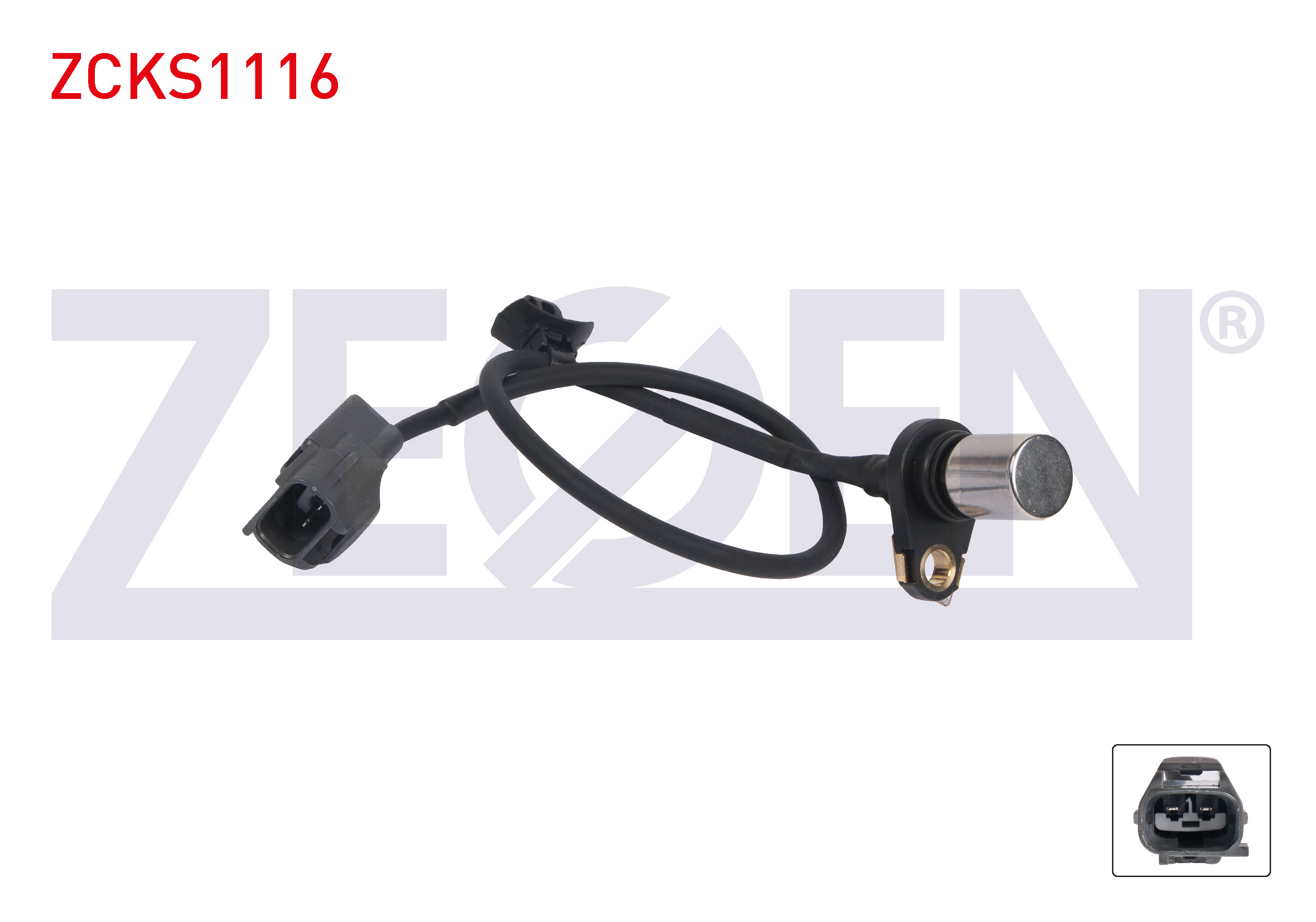 ZEGEN 81269