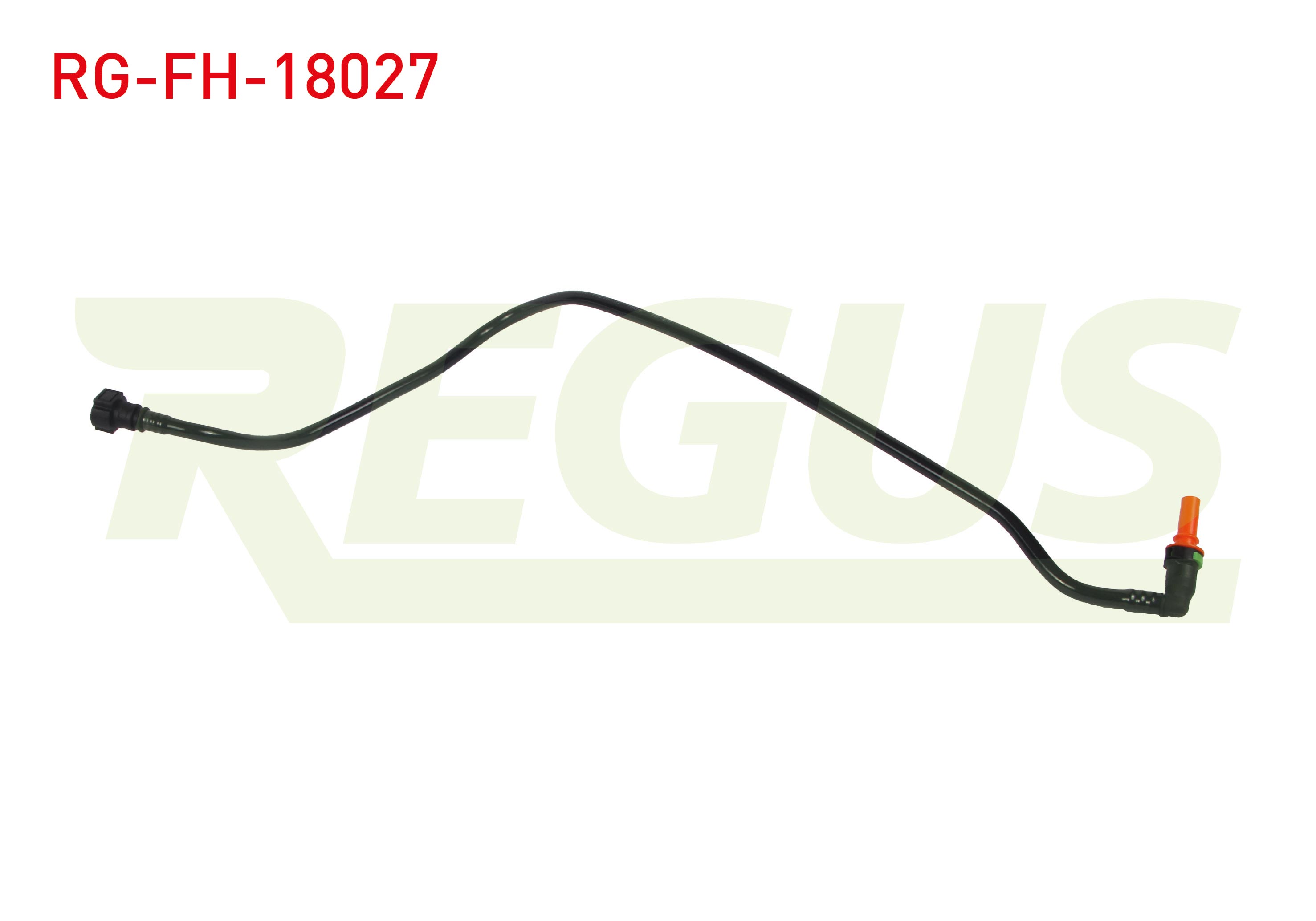 REGUS 