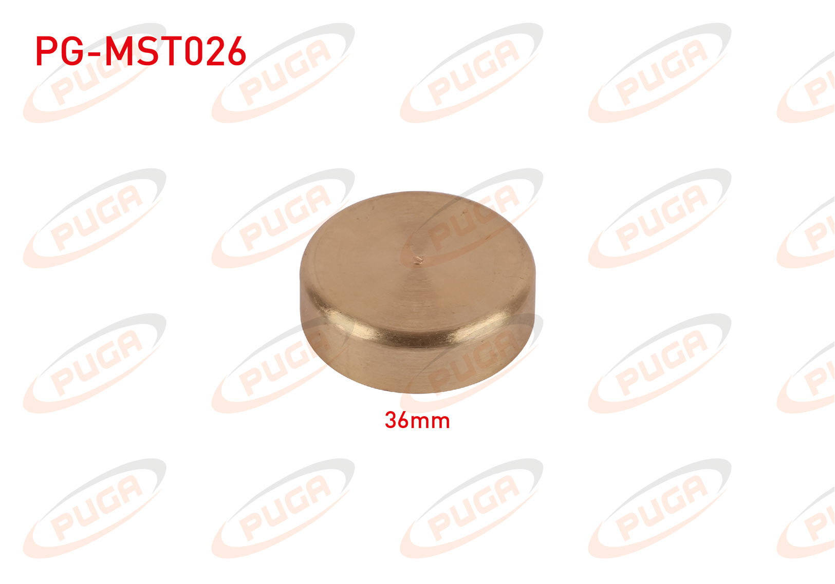 PUGA  | MOTOR BLOK SU TAPASI 36mm SARI PIRINC