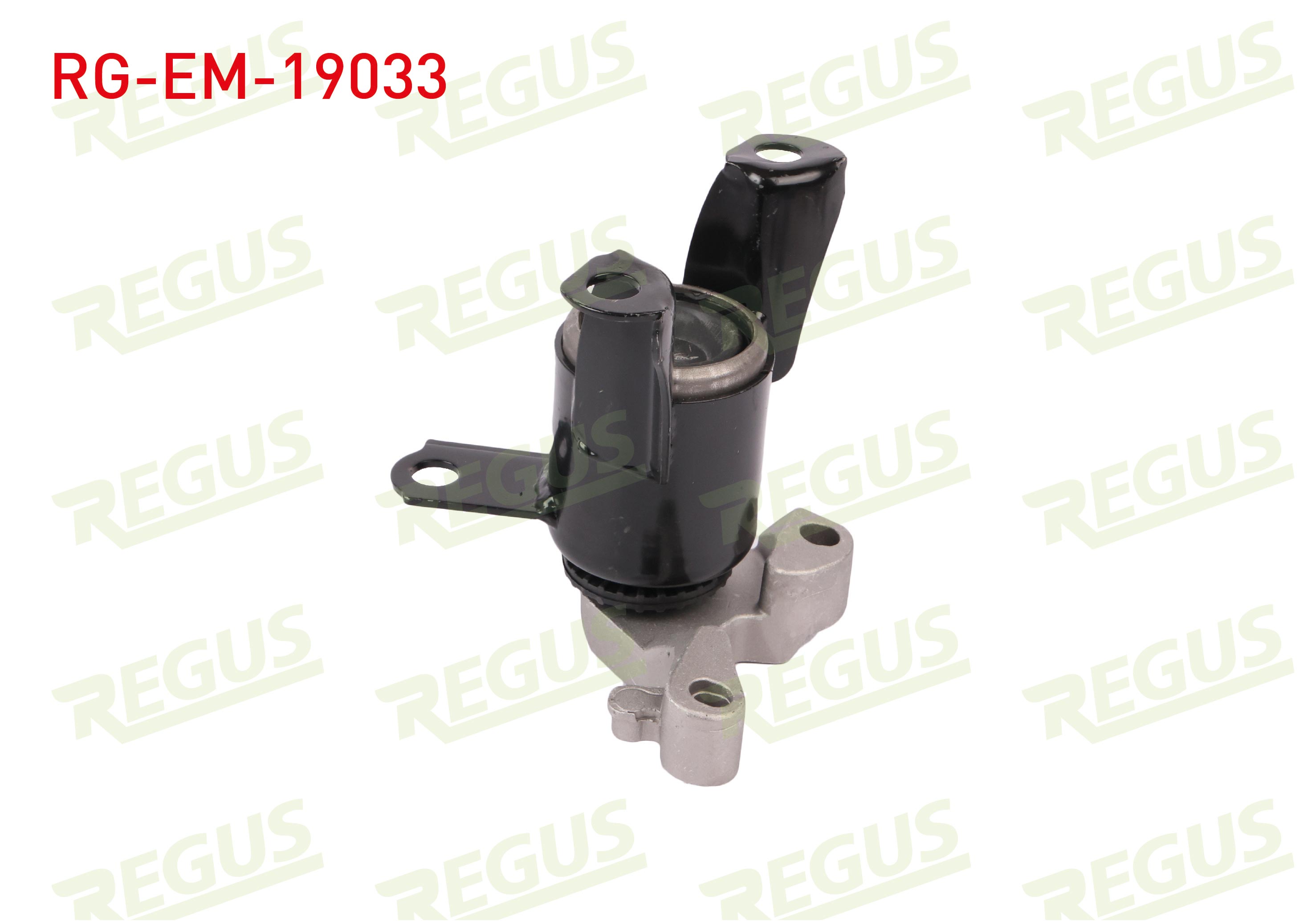 REGUS 61-10879