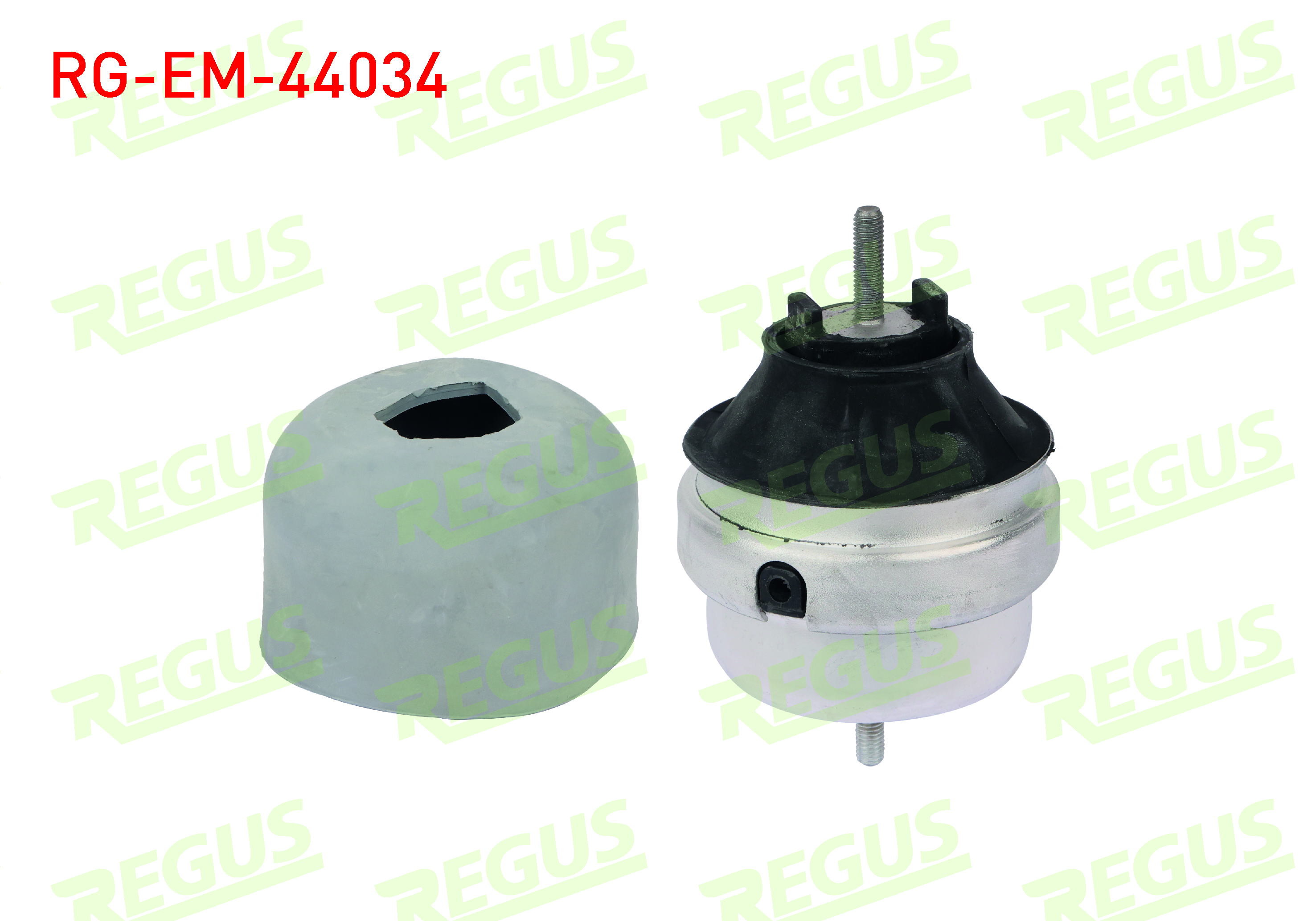 REGUS 