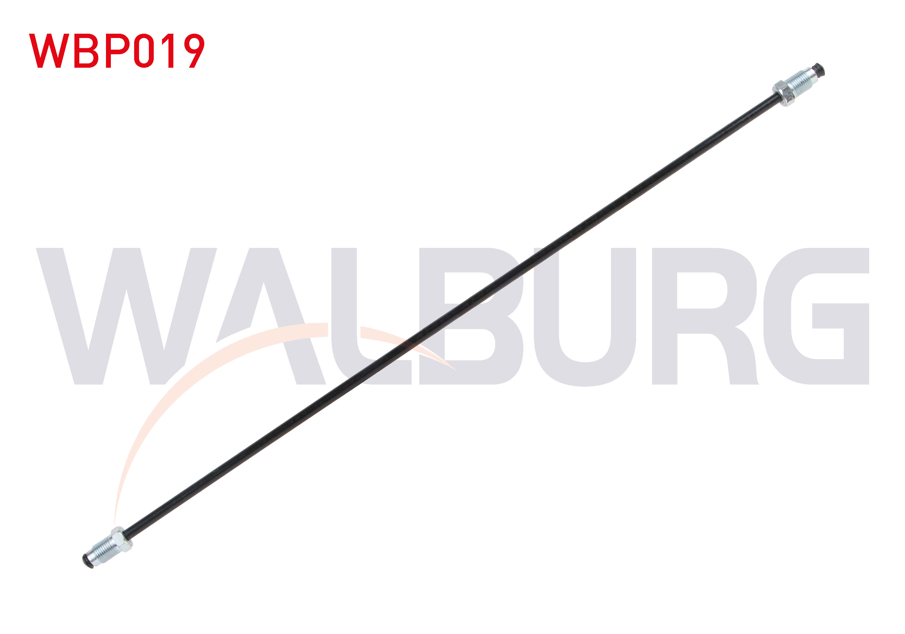 WALBURG 